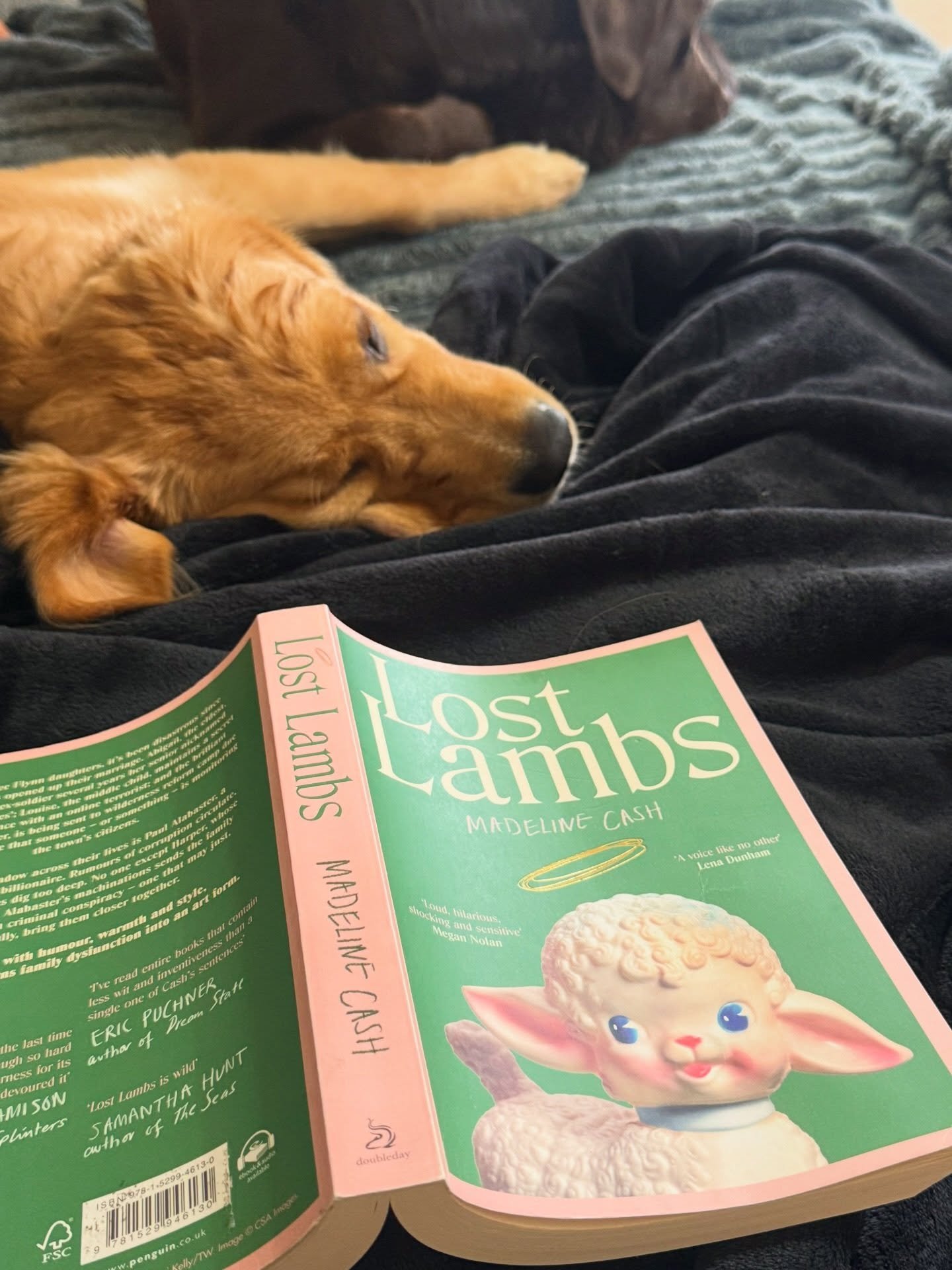 If only every weekend was a long weekend💭 Here&rsquo;s how mine looked.. 
1. The only thing better than dog sitting your friend&rsquo;s beautiful choccy lab, is discovering your friend has impeccable reading taste on arrival!!!! Lost Lambs kept me c