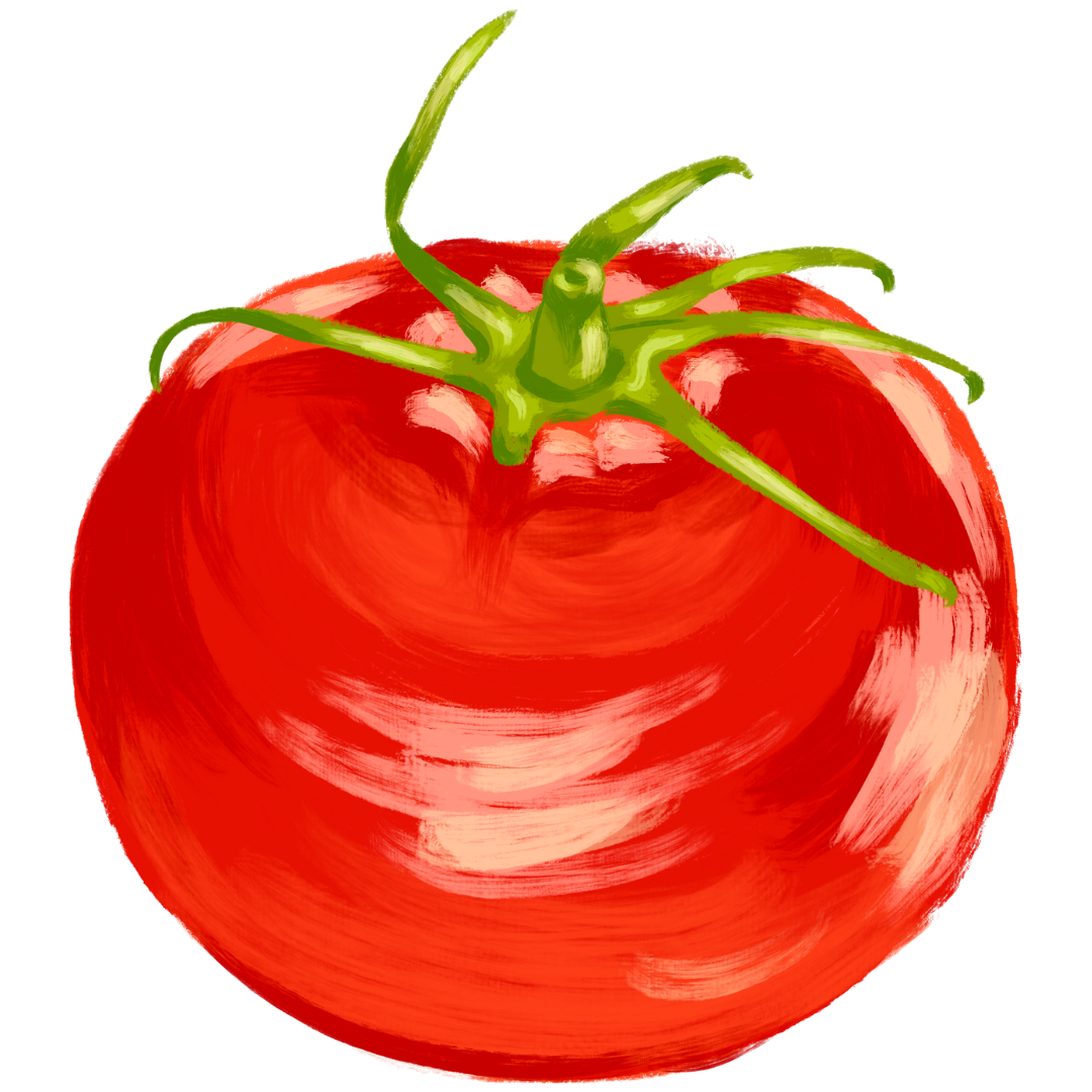 Digital illustration of a ripe red tomato with green stem and leaves.