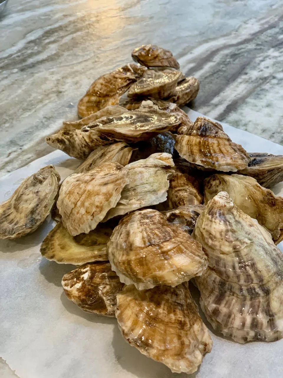 Maryland Oyster Liquor Oyster Chowder