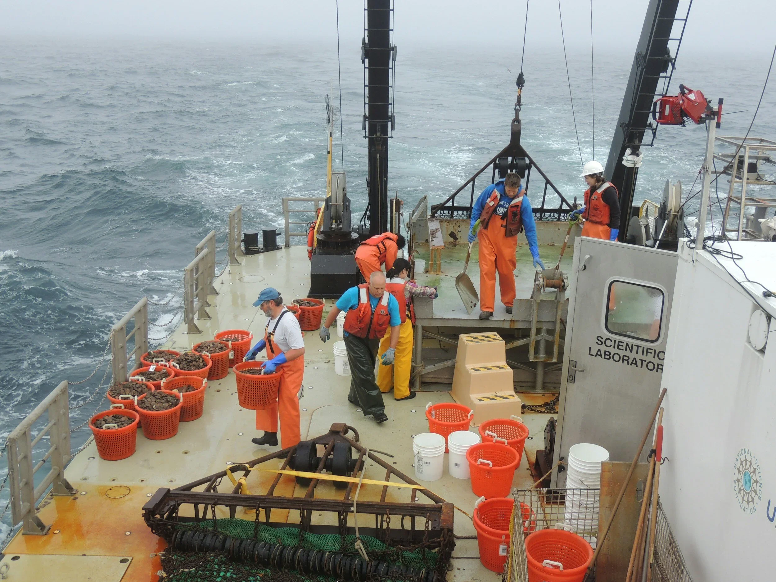 Oyster Heaven's Insight on Marine Dredging and Oyster Reef Restoration