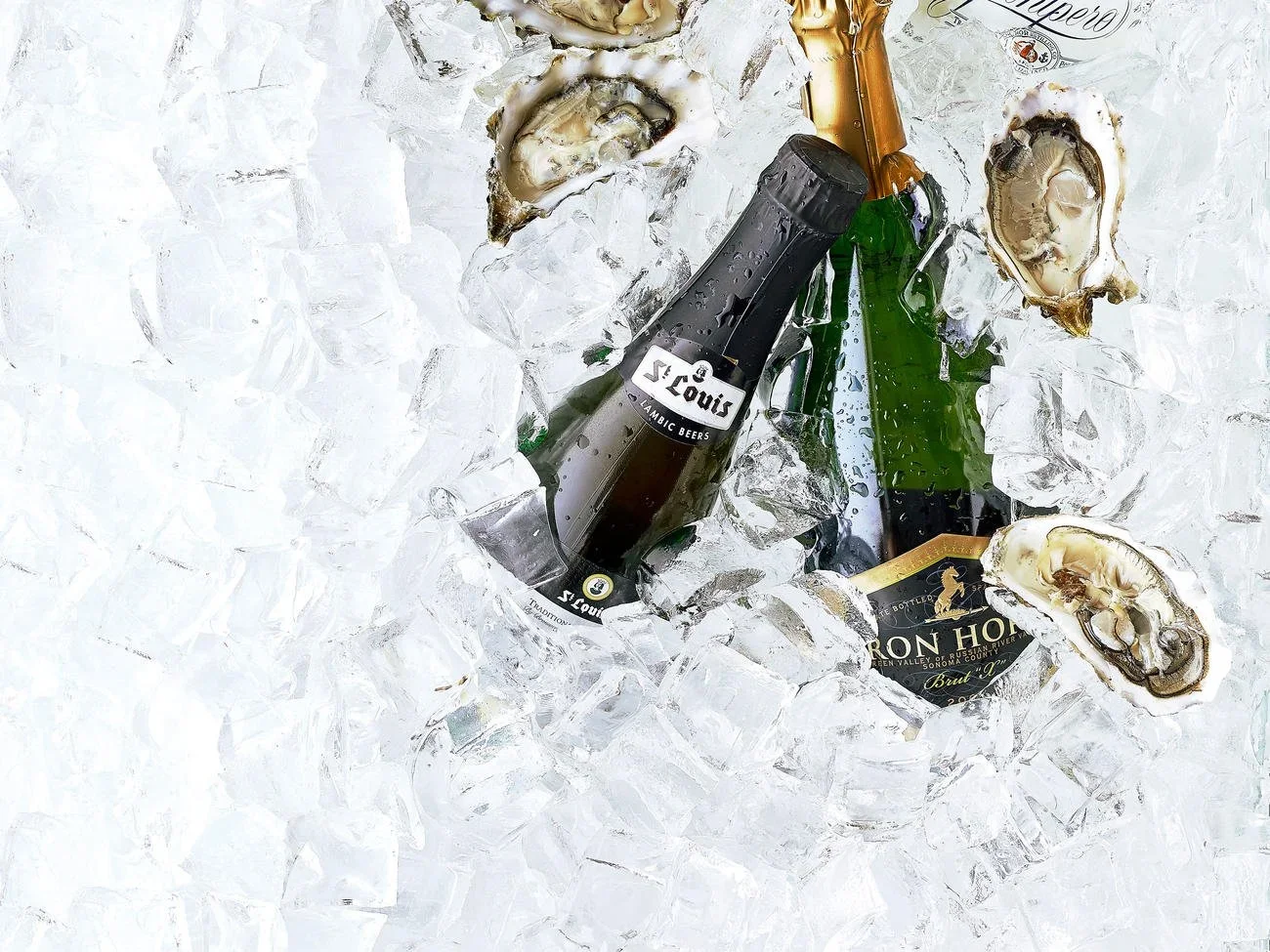 13 Best Drinks to Pair with Oysters