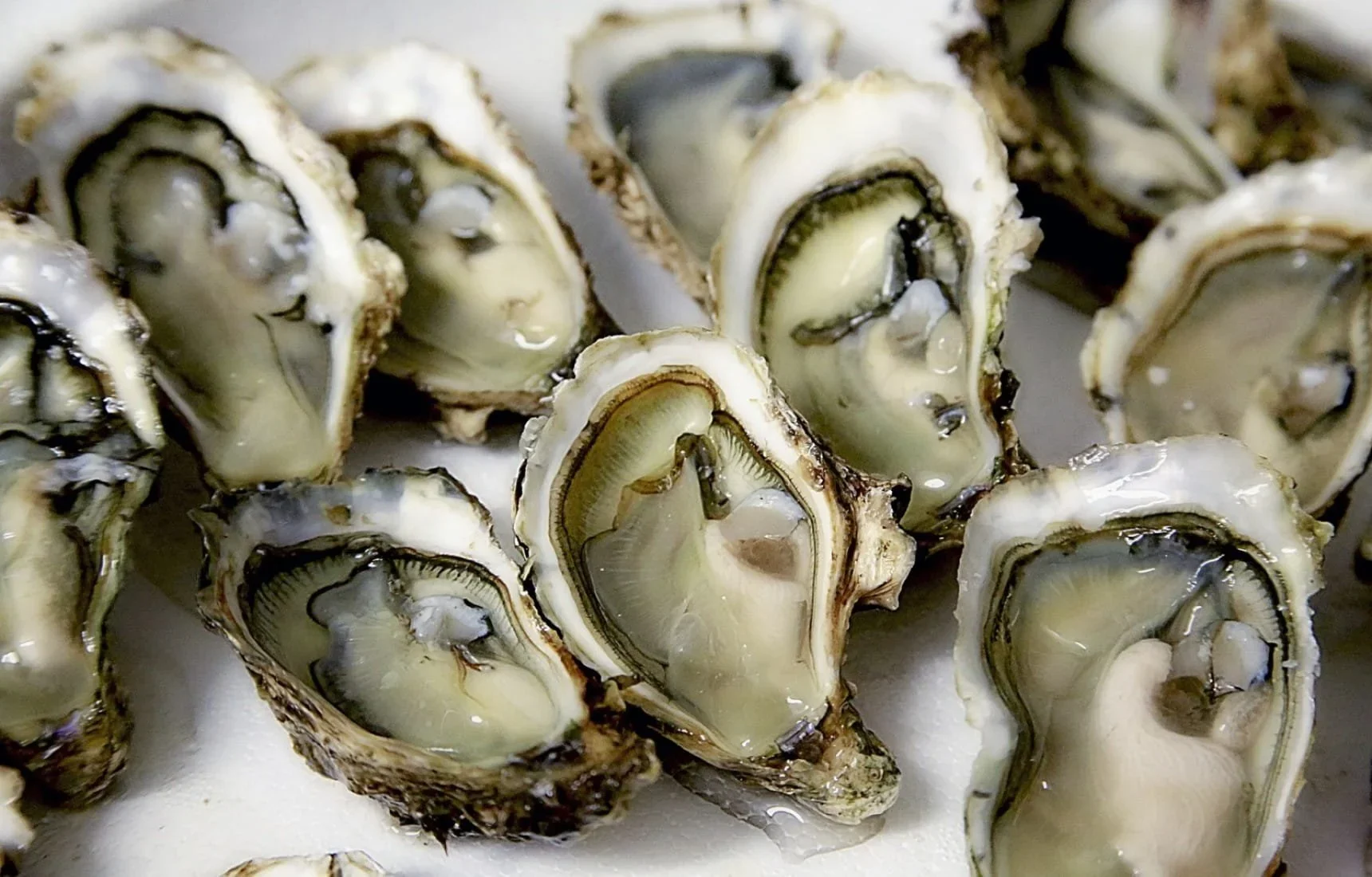 The Best Wine (And Other) Pairings With Oysters