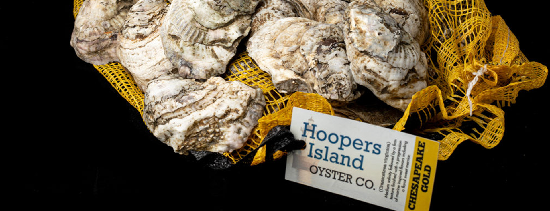 Hoopers Island Oyster Co.