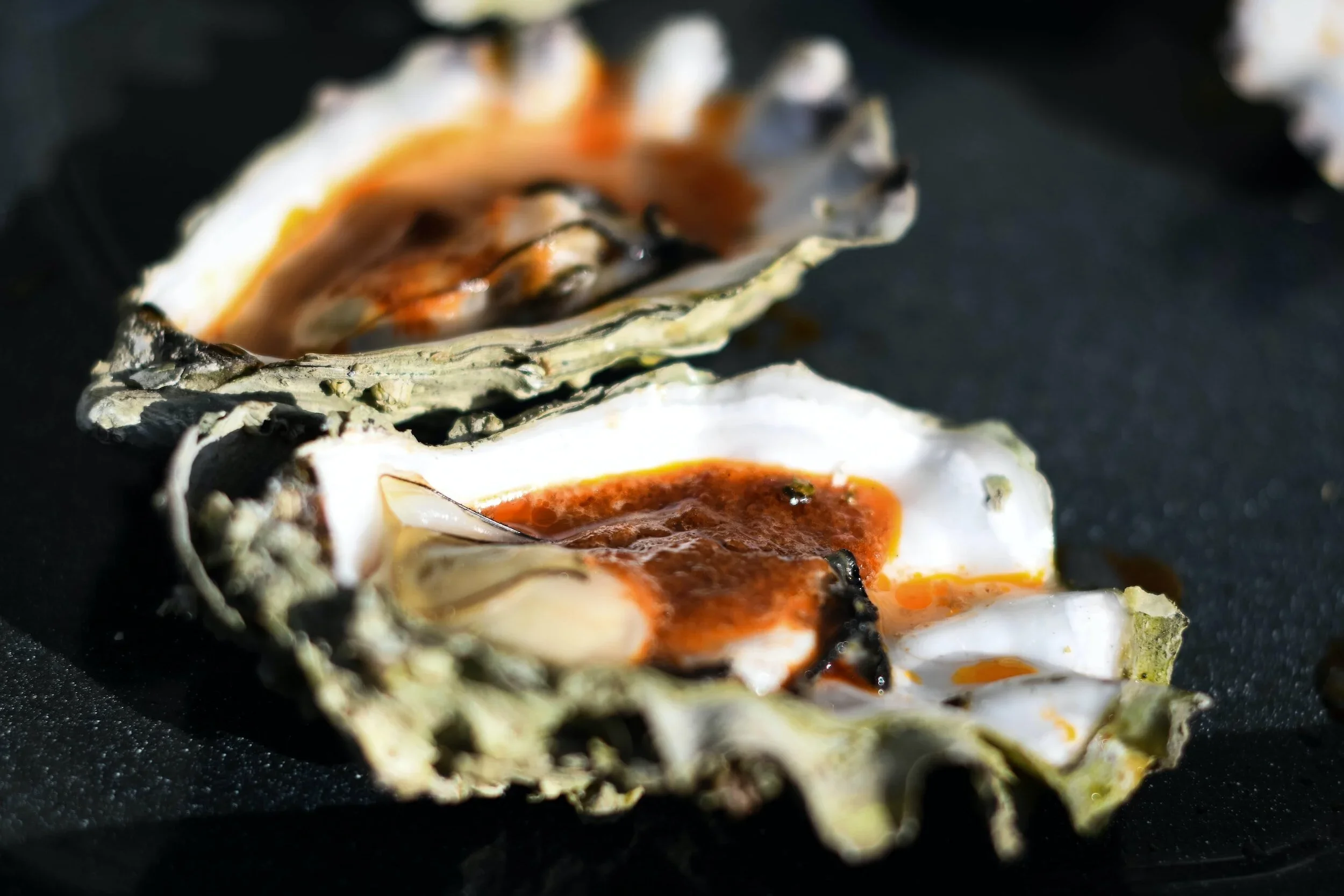 Ward Oyster Co.
