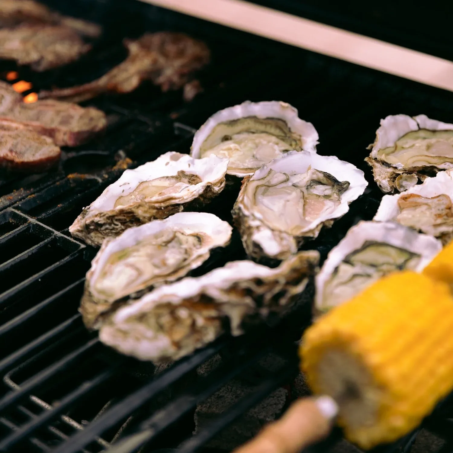 Grilled Oysters with Cilantro-lime Butter