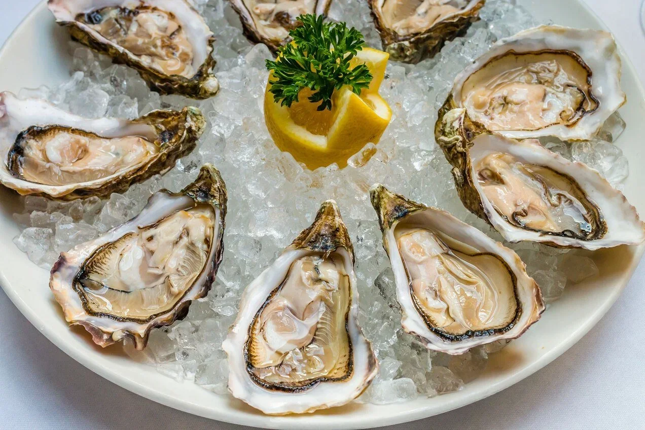 Native Americans Harvested Oysters Responsibly. Why Can't We?