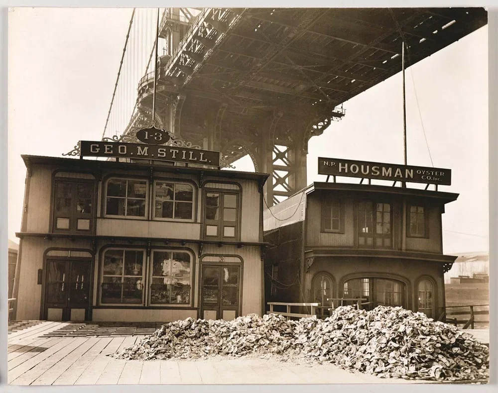 The Billion Oyster Project: Reversing History to Move Forward