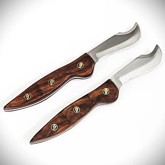 Signature Shell Blade Knife