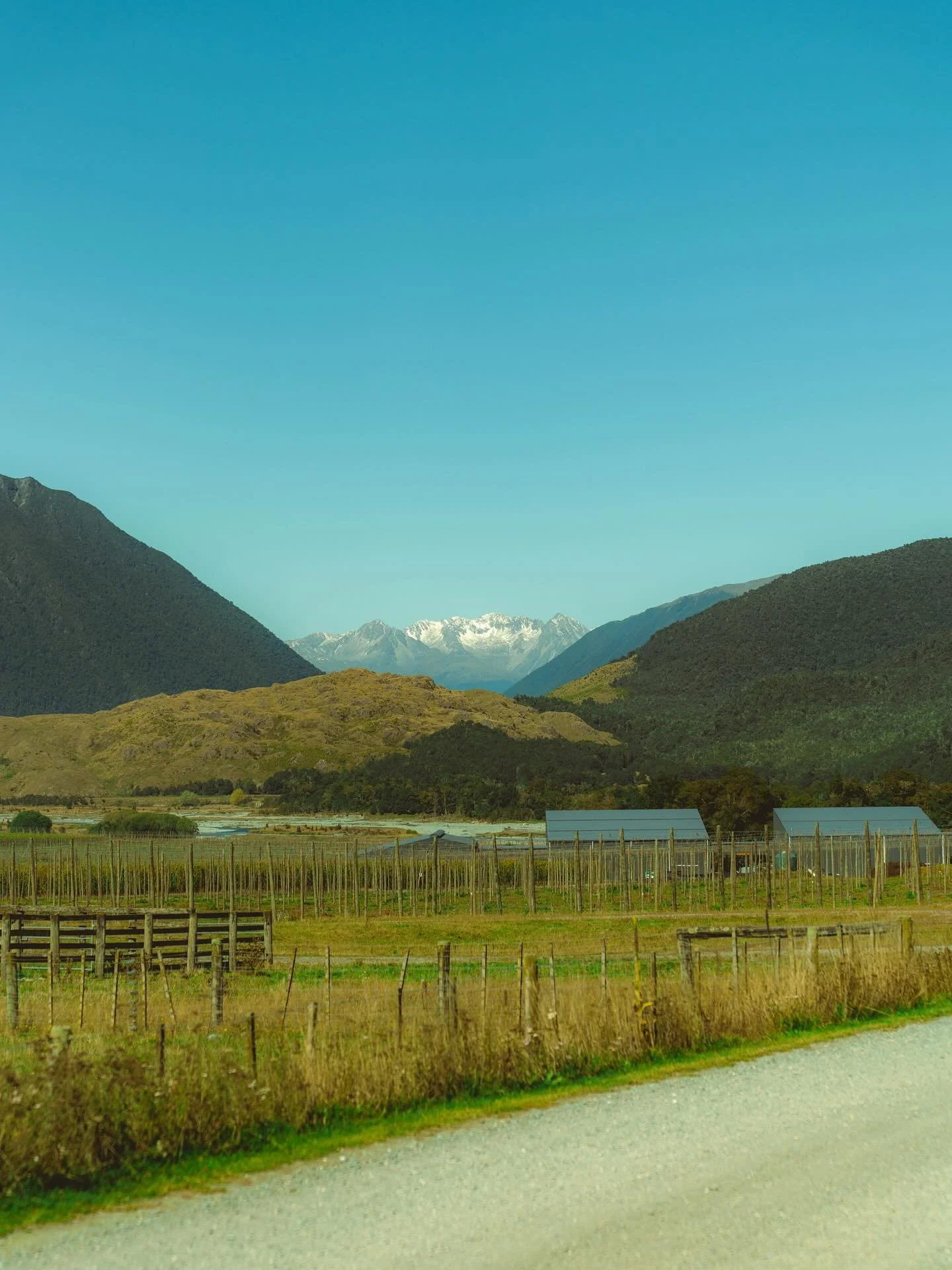This is where TINY was born - grounded in nature, brewed without compromise.
Premium non-alcoholic beer, made in harmony with the land. 🌿

#DrinkTiny #TinyButMighty #PureNewZealand #NonAlcoholicBeer #BrewedWithIntention