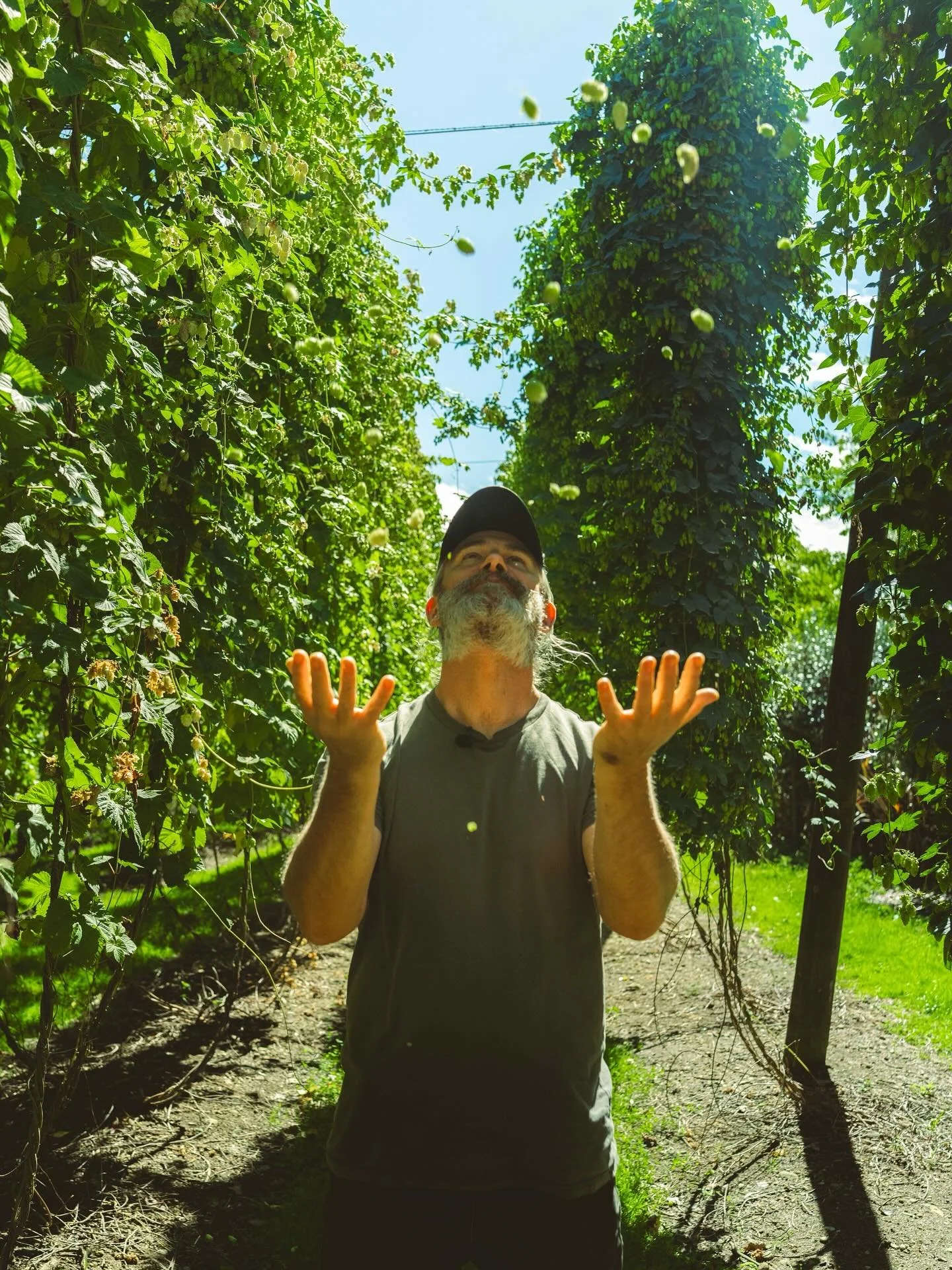 Our Founder Pete, captured in his happy place during hop harvest, where the journey from field to flavour begins.
Big passion. Tiny beer. 🌿🍻

#DrinkTiny #TinyButMighty #FromFieldToFlavour #HopHarvest #CraftedWithPassion