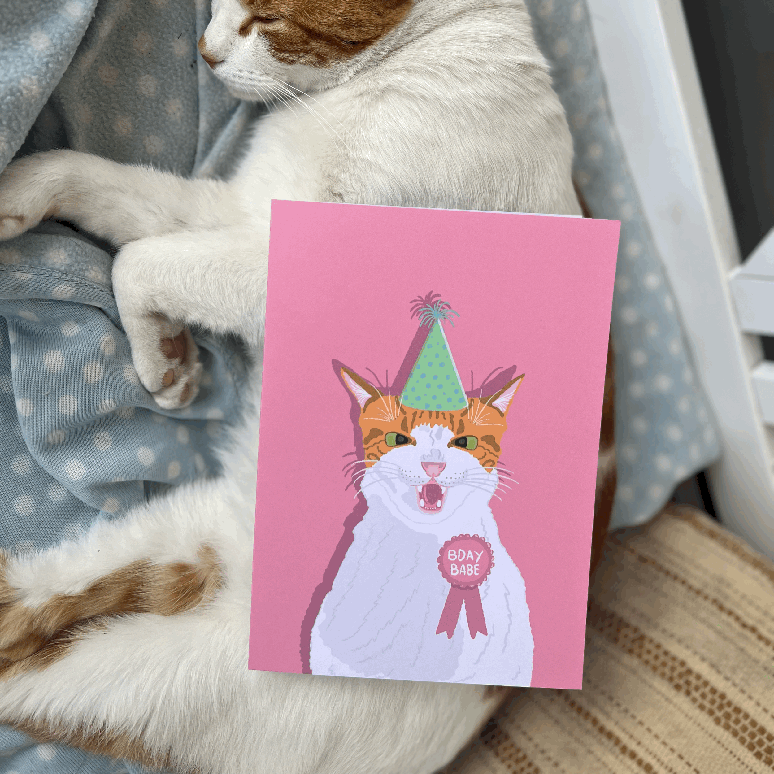 Happy Cat Bithday Card
