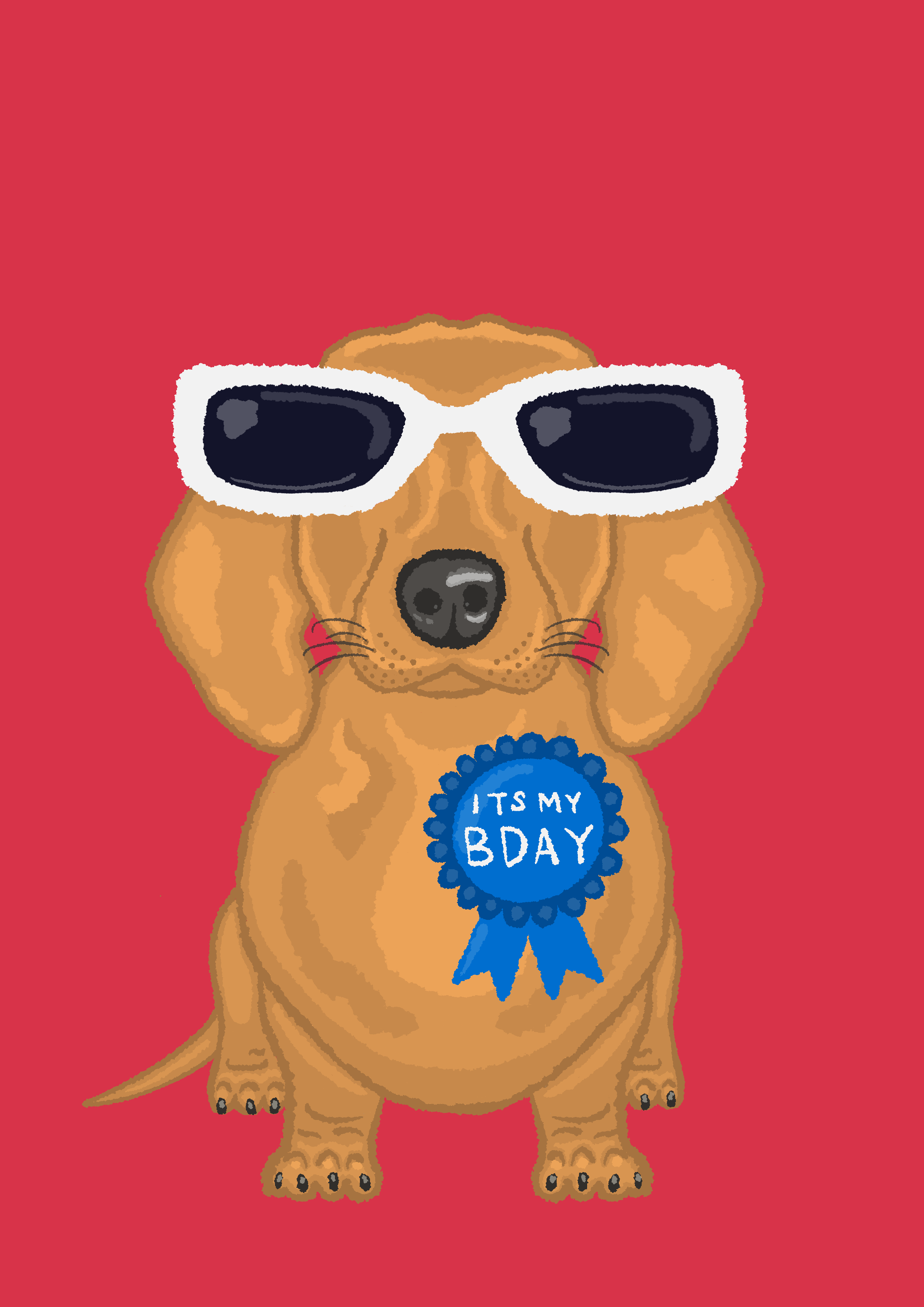 Birthday Dachshund