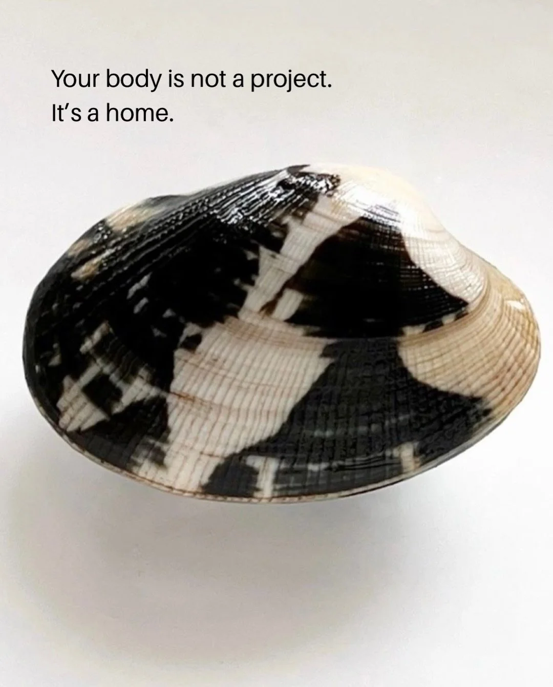 You are the medicine.
Yes &mdash; you.

Your body holds answers long before the mind tries to explain them.
It speaks in sensations, in tension, in ease, in fatigue, in breath.

We live in a culture that constantly tells us what to do with our bodies