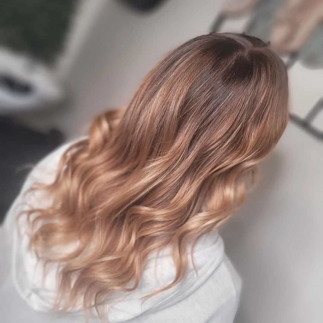 Werribee_Hair_Lab_018.jpg