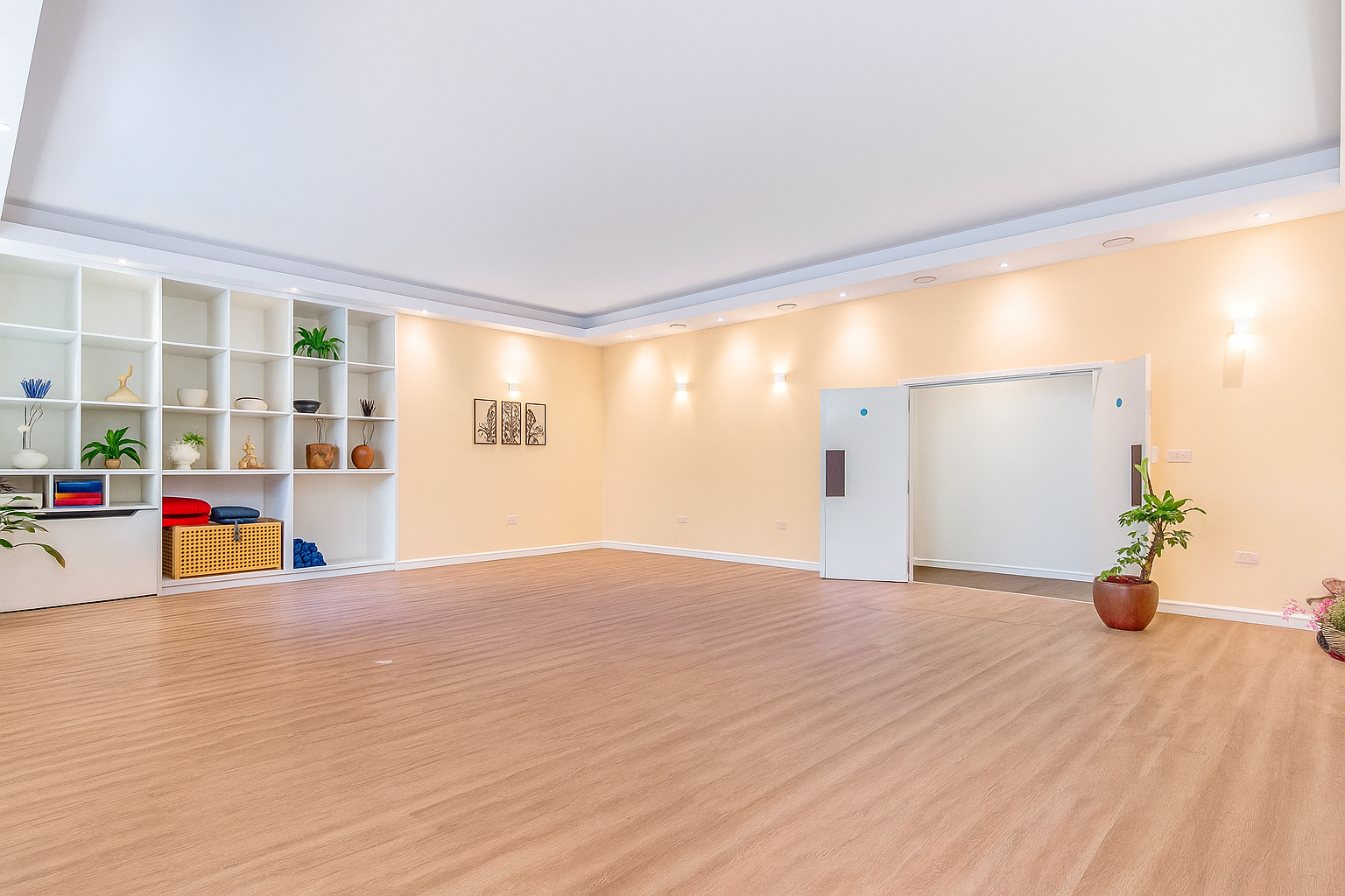 Empty room with wooden floor, beige walls, built-in white shelves with decor, potted plants, wall art, and modern lighting fixtures.