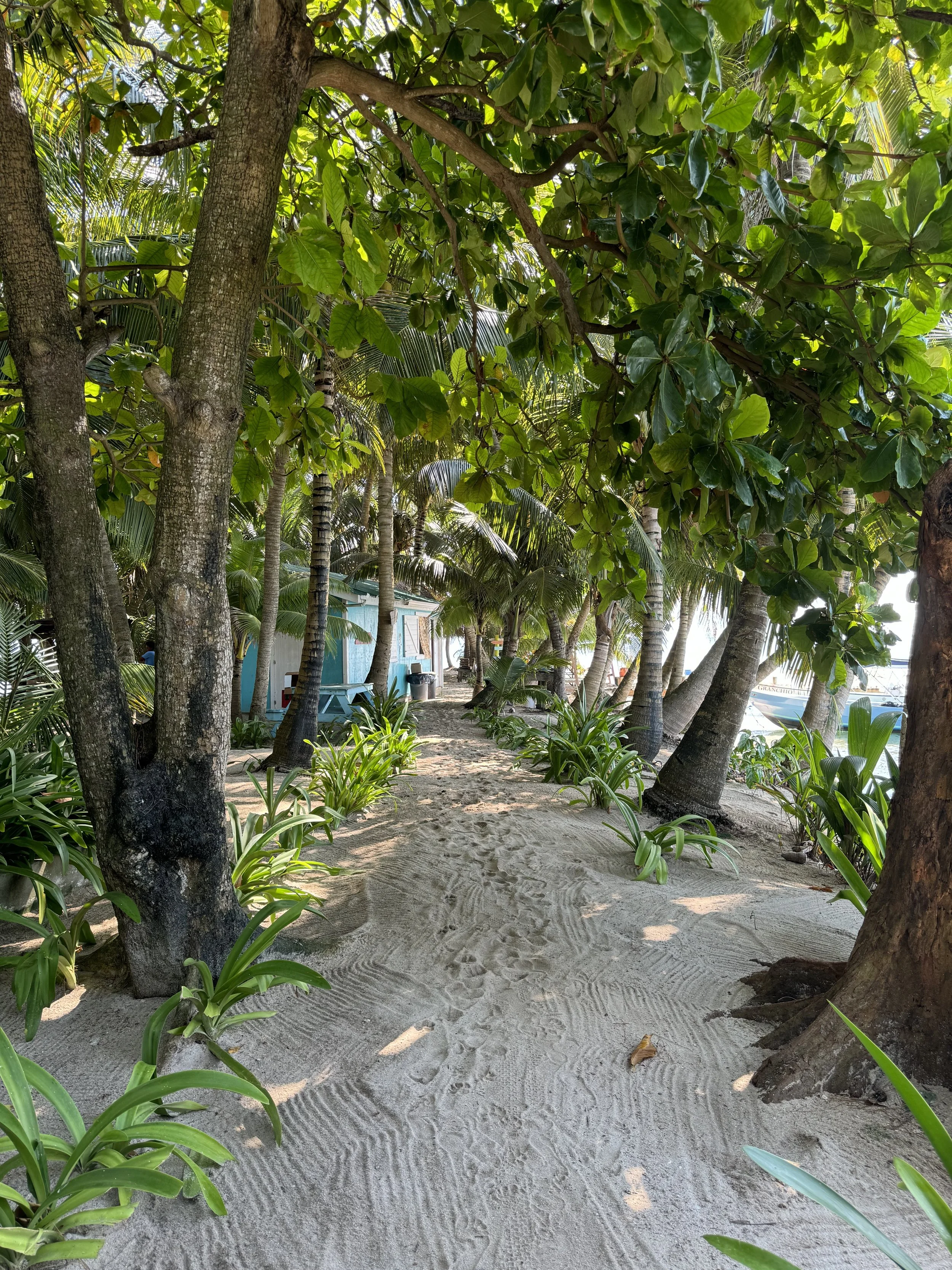 A sandy pathway lined with green tropical plants and trees, leading to small huts or cabins, with some visible sailboats in the background.