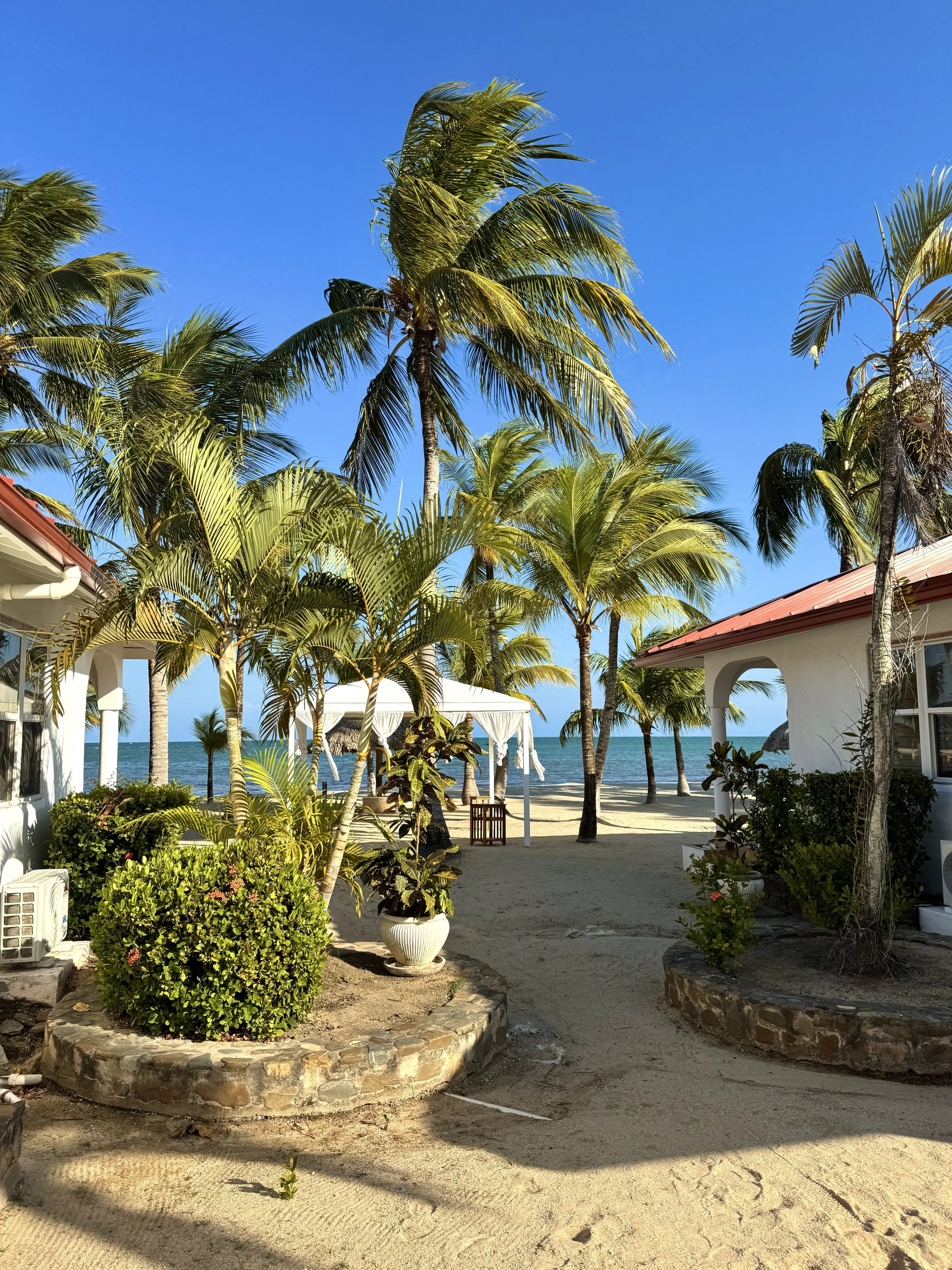 Beachfront view with palm trees, sandy pathway, white gazebo, and ocean in the background under a clear blue sky.