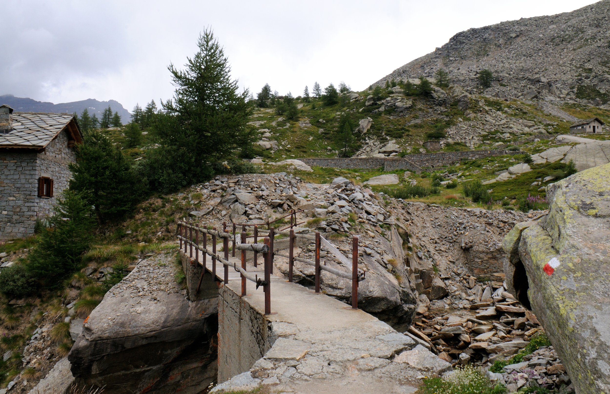 DSC_3387.JPG