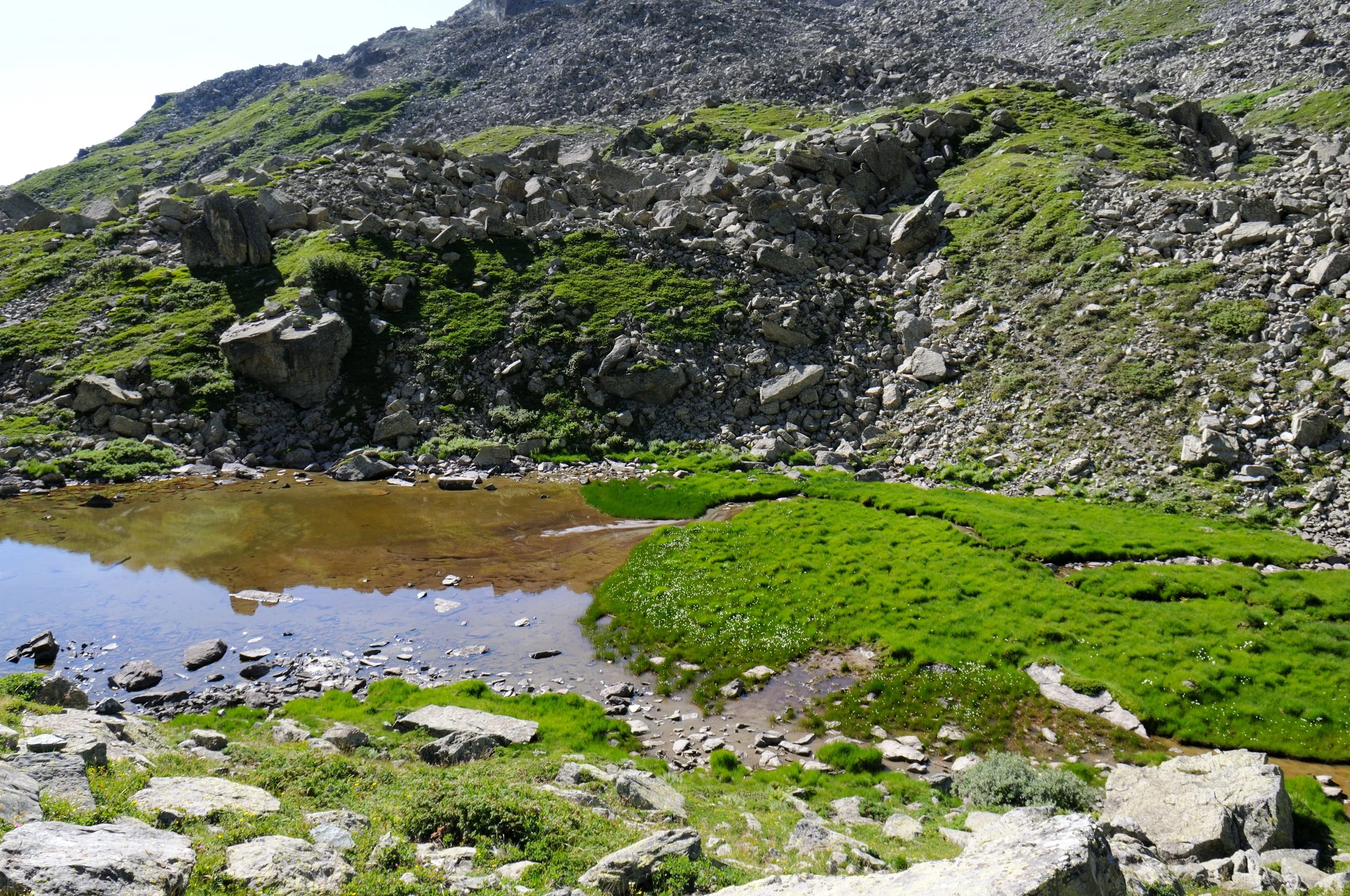Laghi di Pra Fiorito (2309 m)