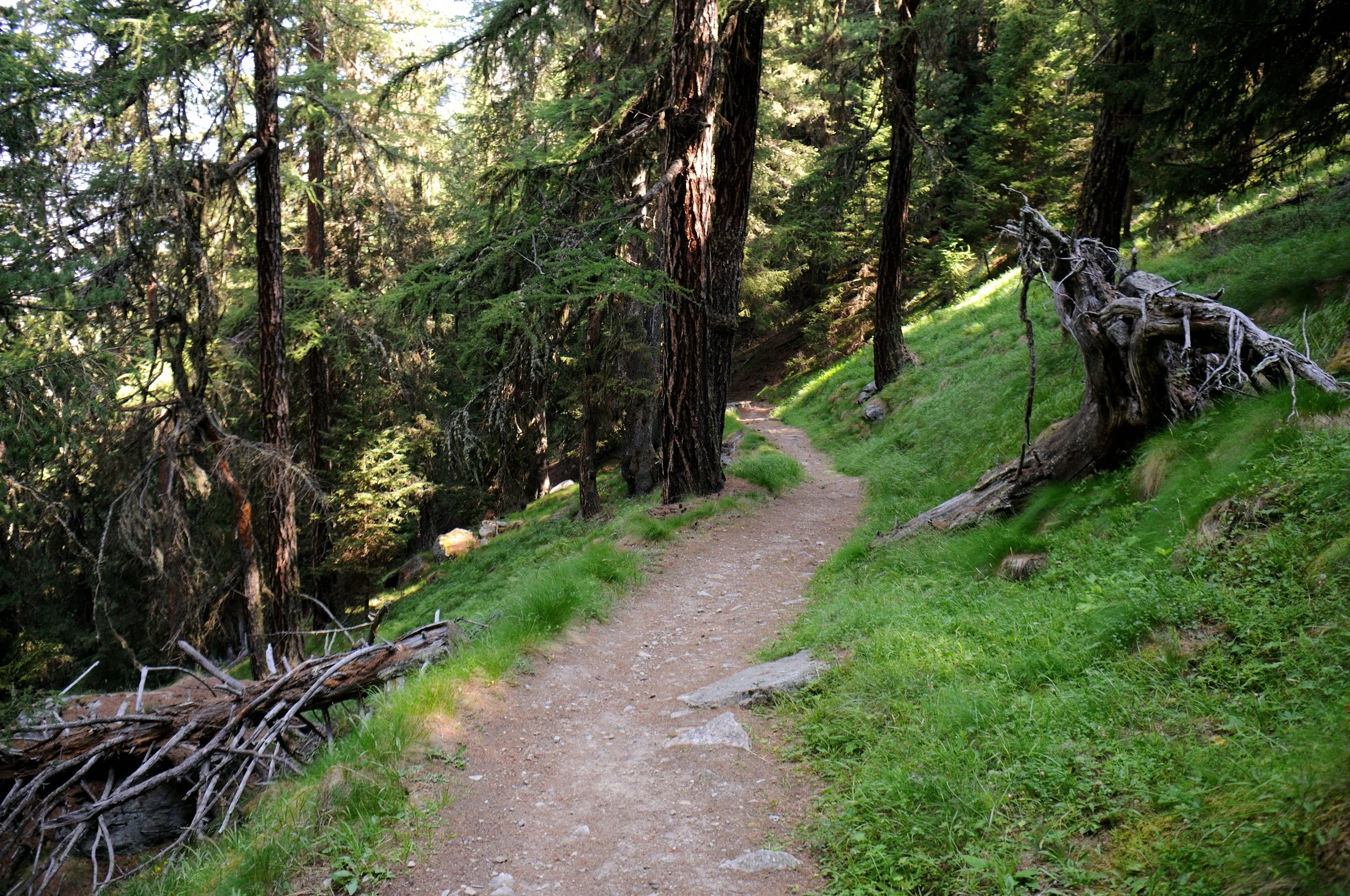 DSC_3221.JPG
