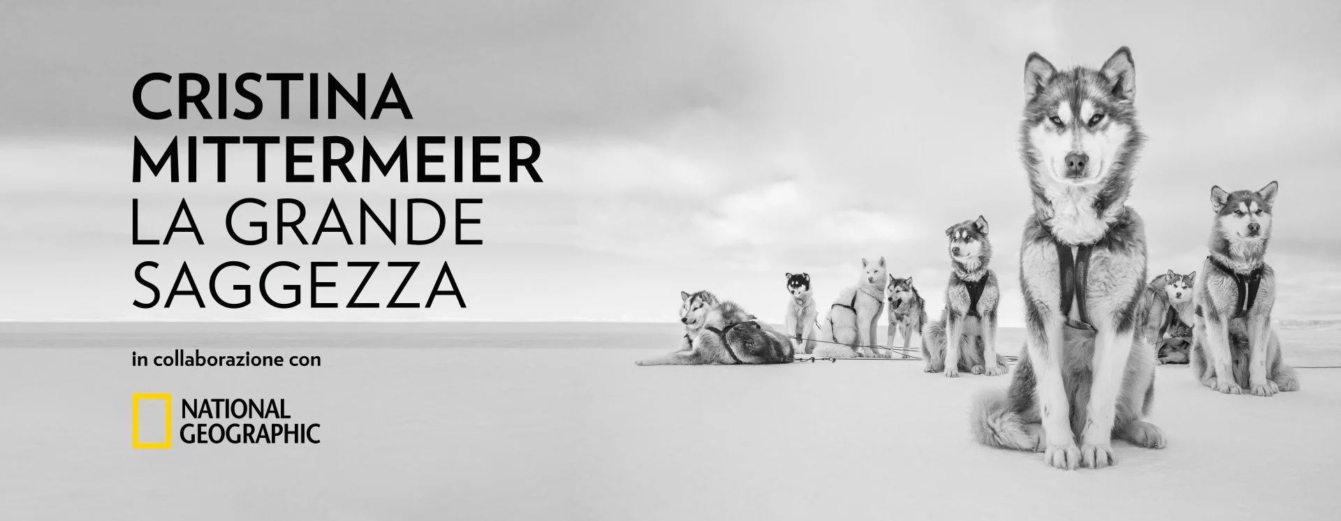 Cristina Mittermeier, La grande saggezza