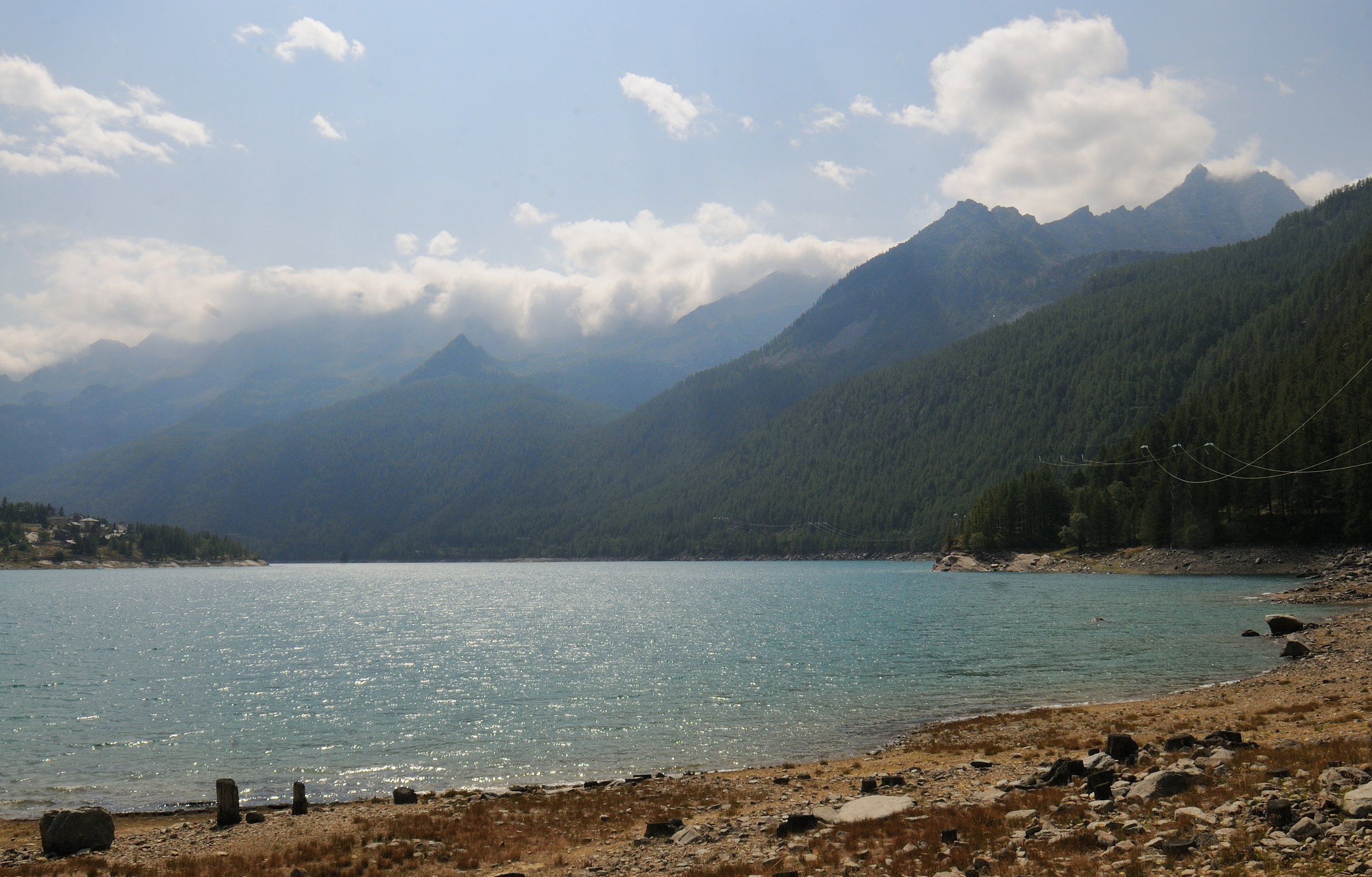 DSC_3356.JPG