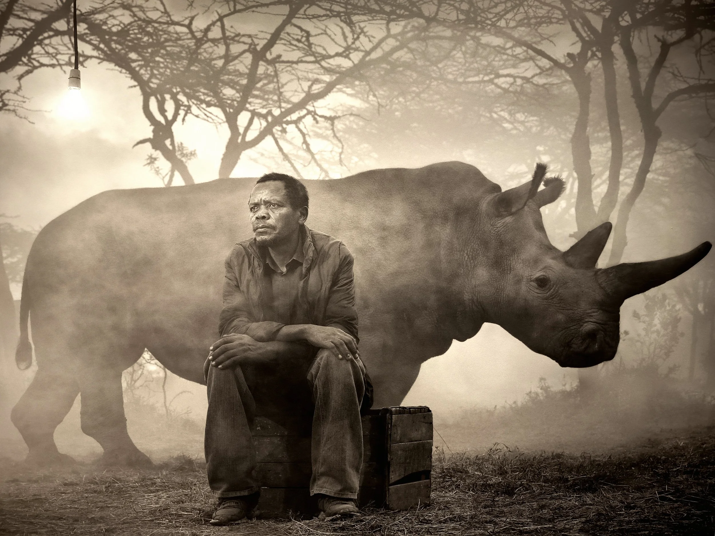 Nick Brandt. The Day May Break: la fotografia ai tempi dei cambiamenti climatici