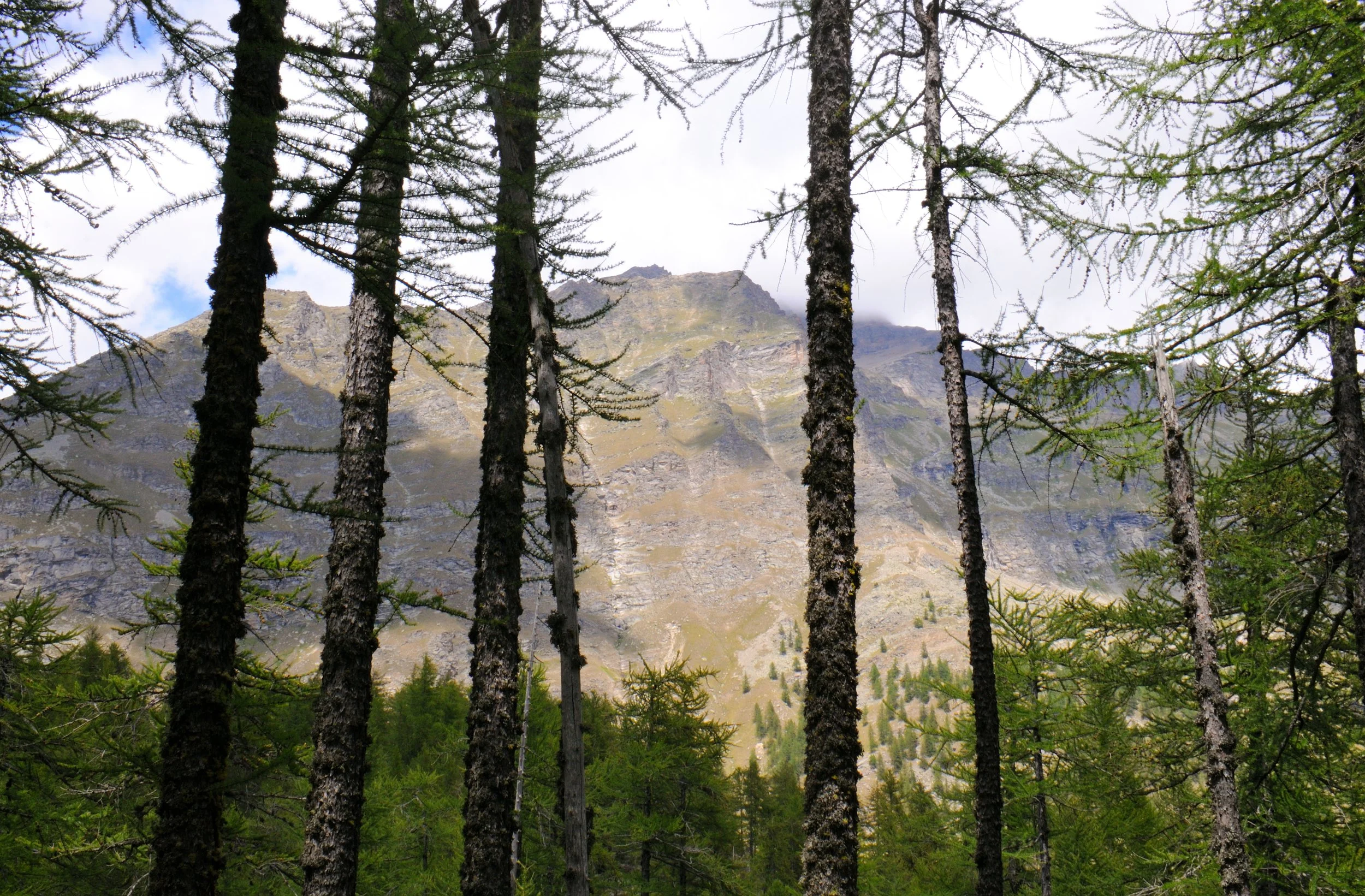 DSC_3423.JPG