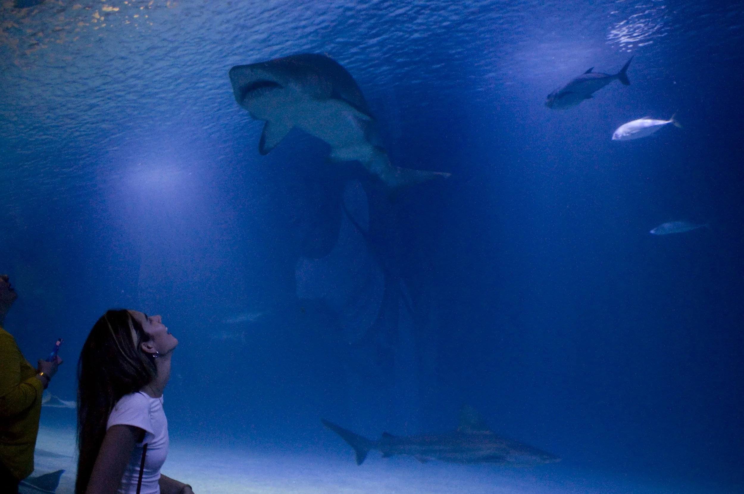 Valencia - Tossa de Mar - Mentone