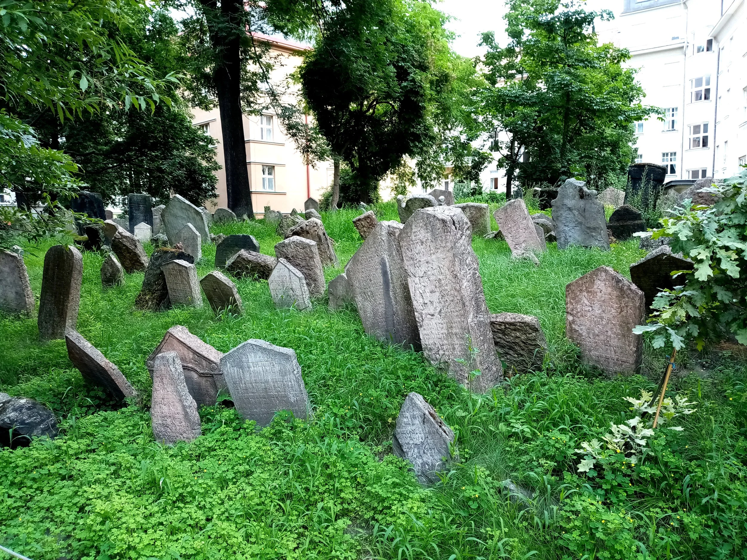 Praga - cimitero ebraico