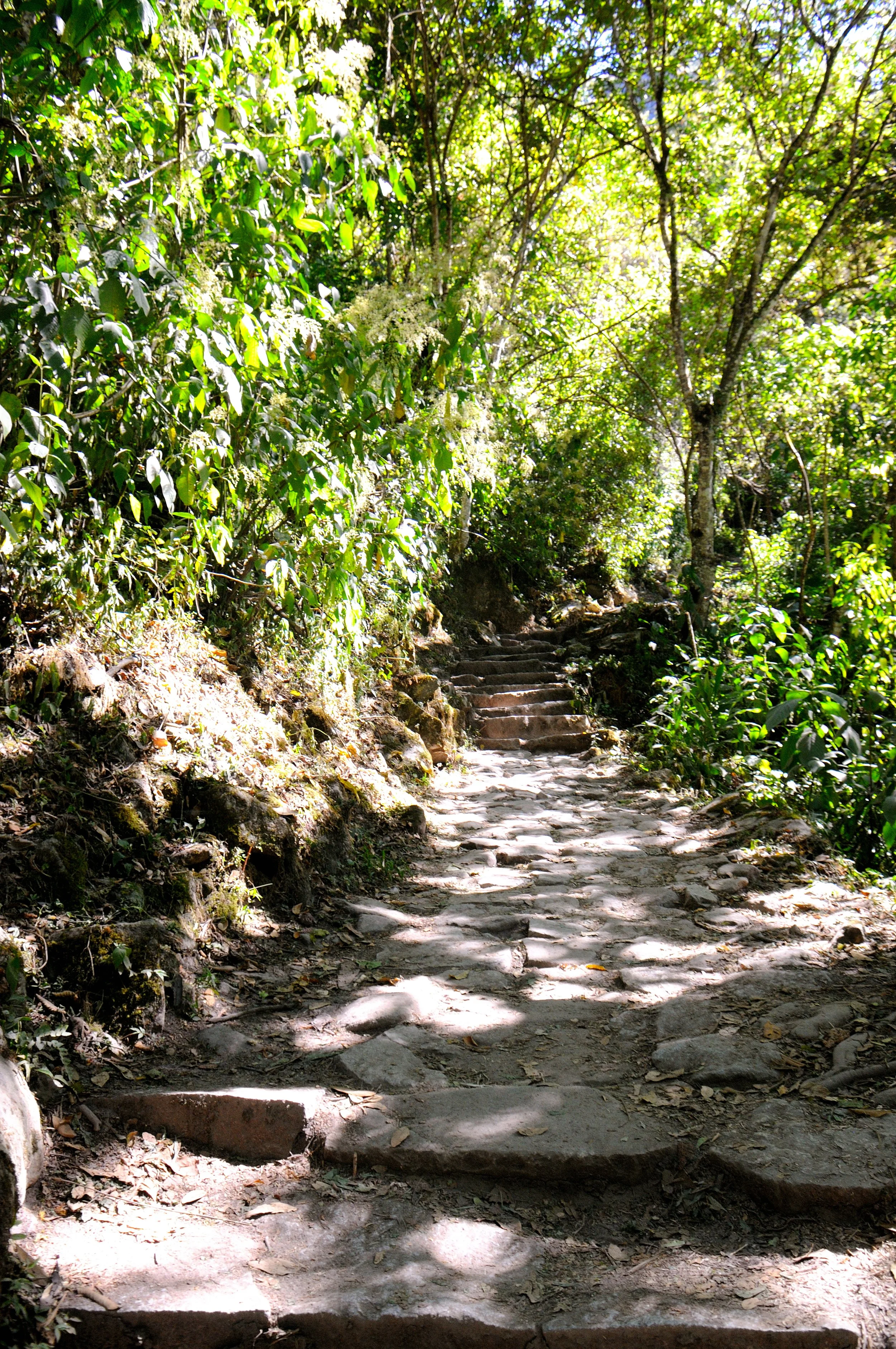 DSC_2164.JPG