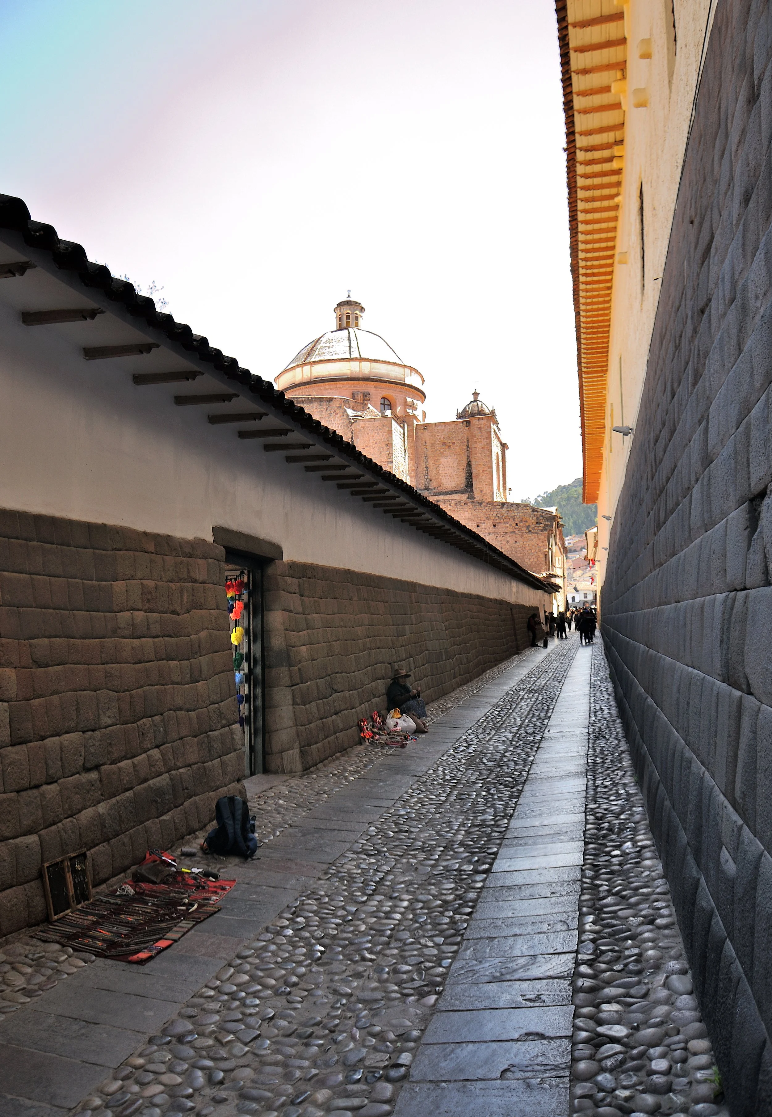 DSC_2007.JPG