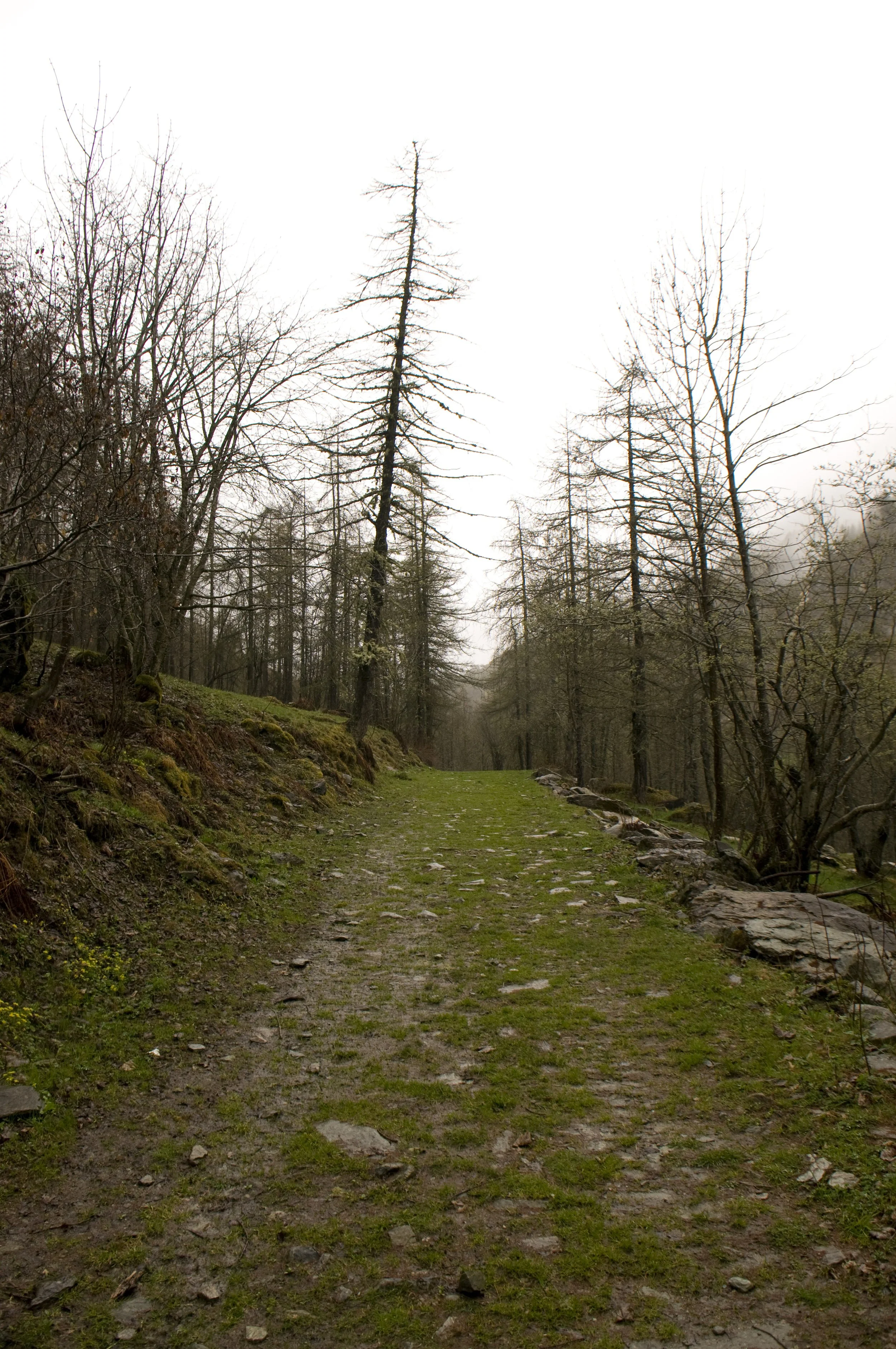 Verso Pian del Re...