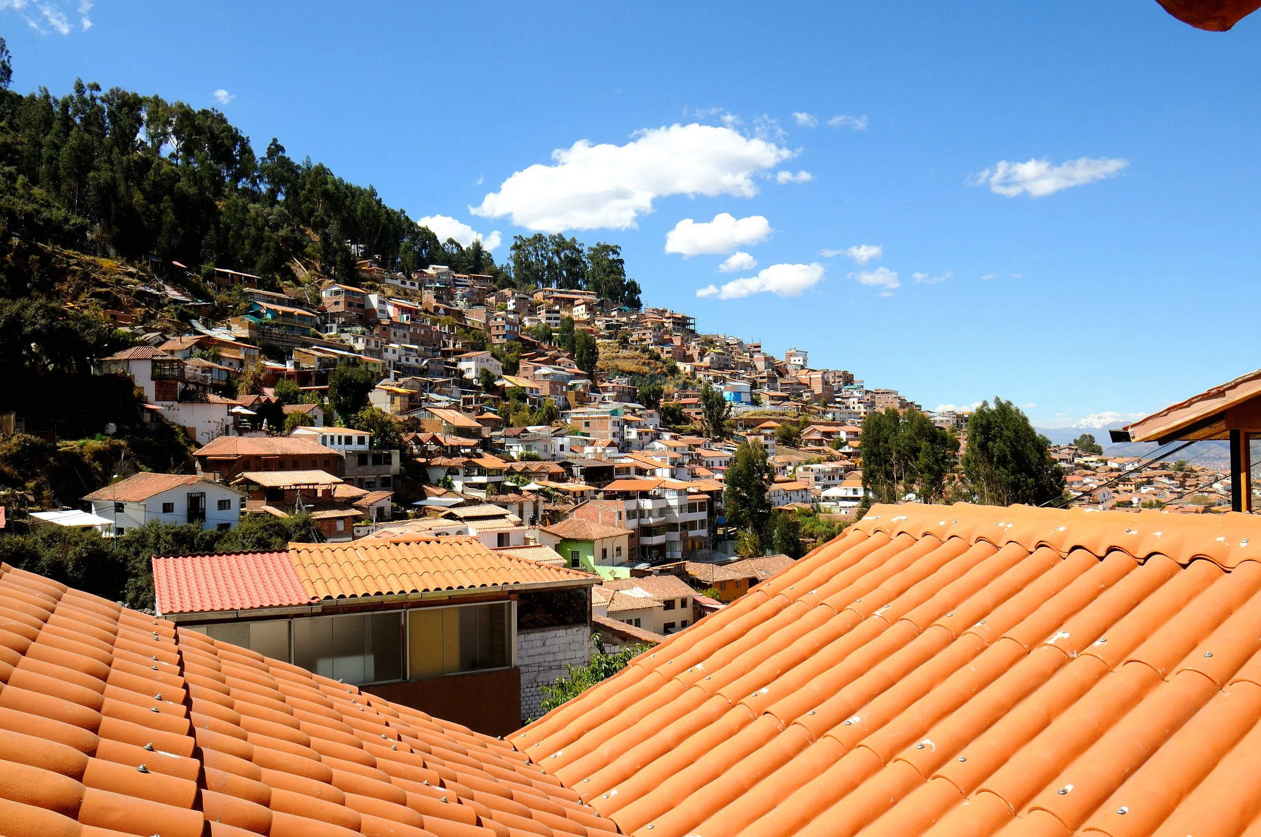 DSC_2028.JPG