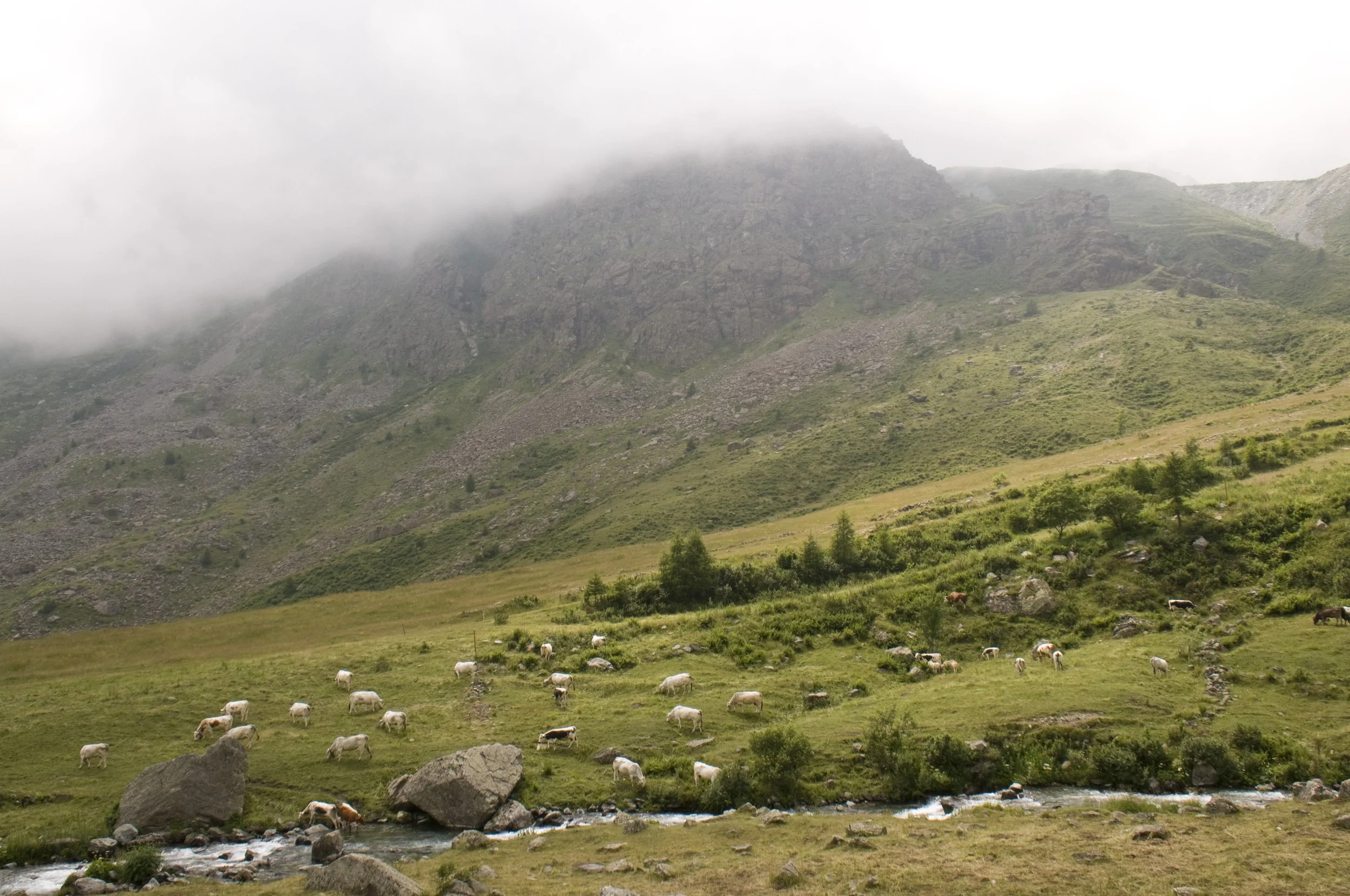 Quasi a Pian della Regina (1770 m)...