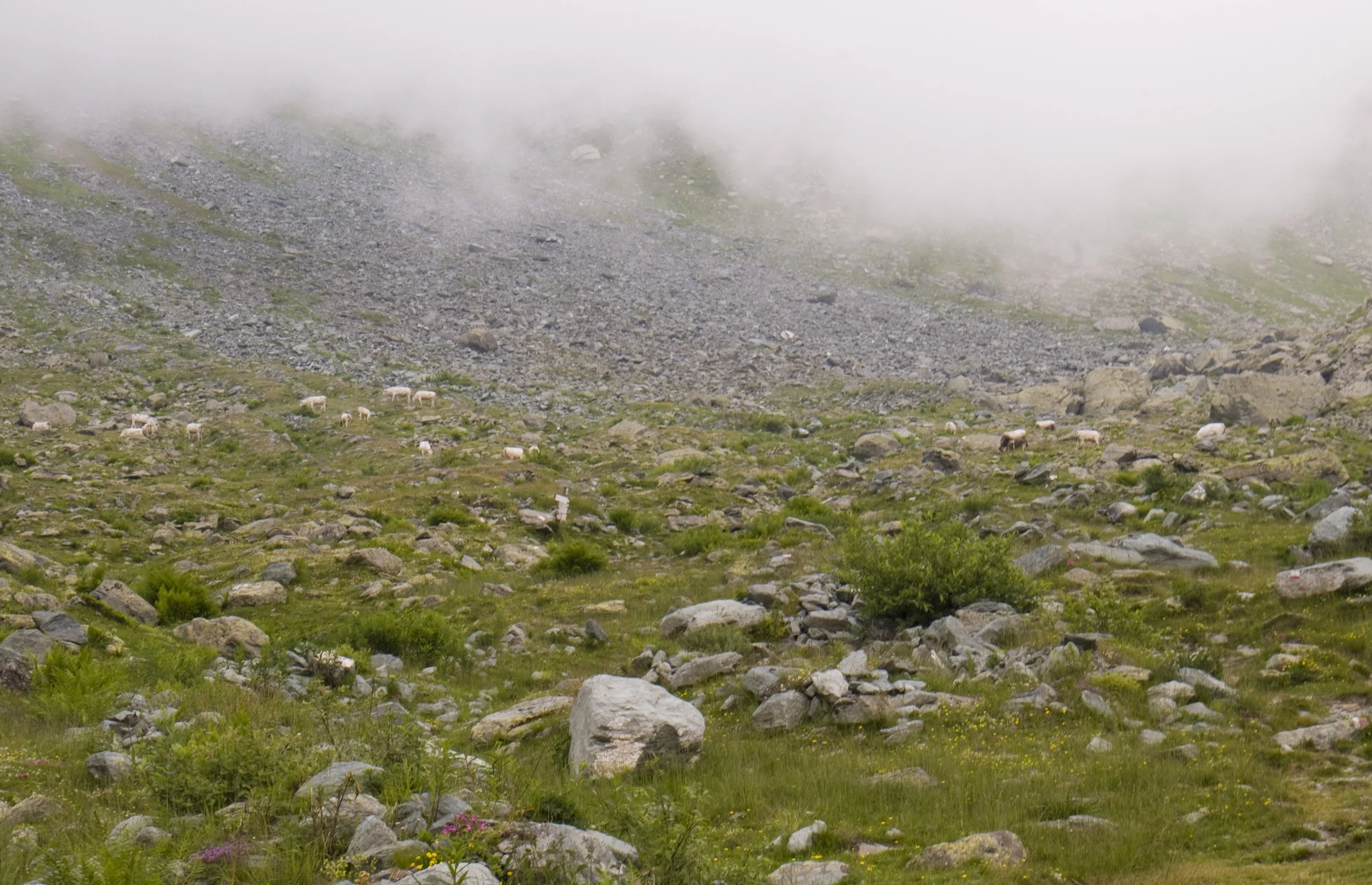Sentiero per il Rifugio Giacoletti