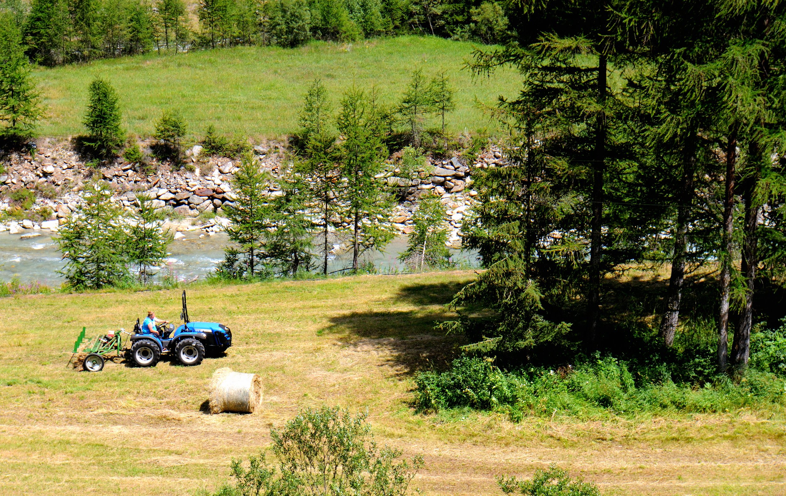 DSC_3199.JPG