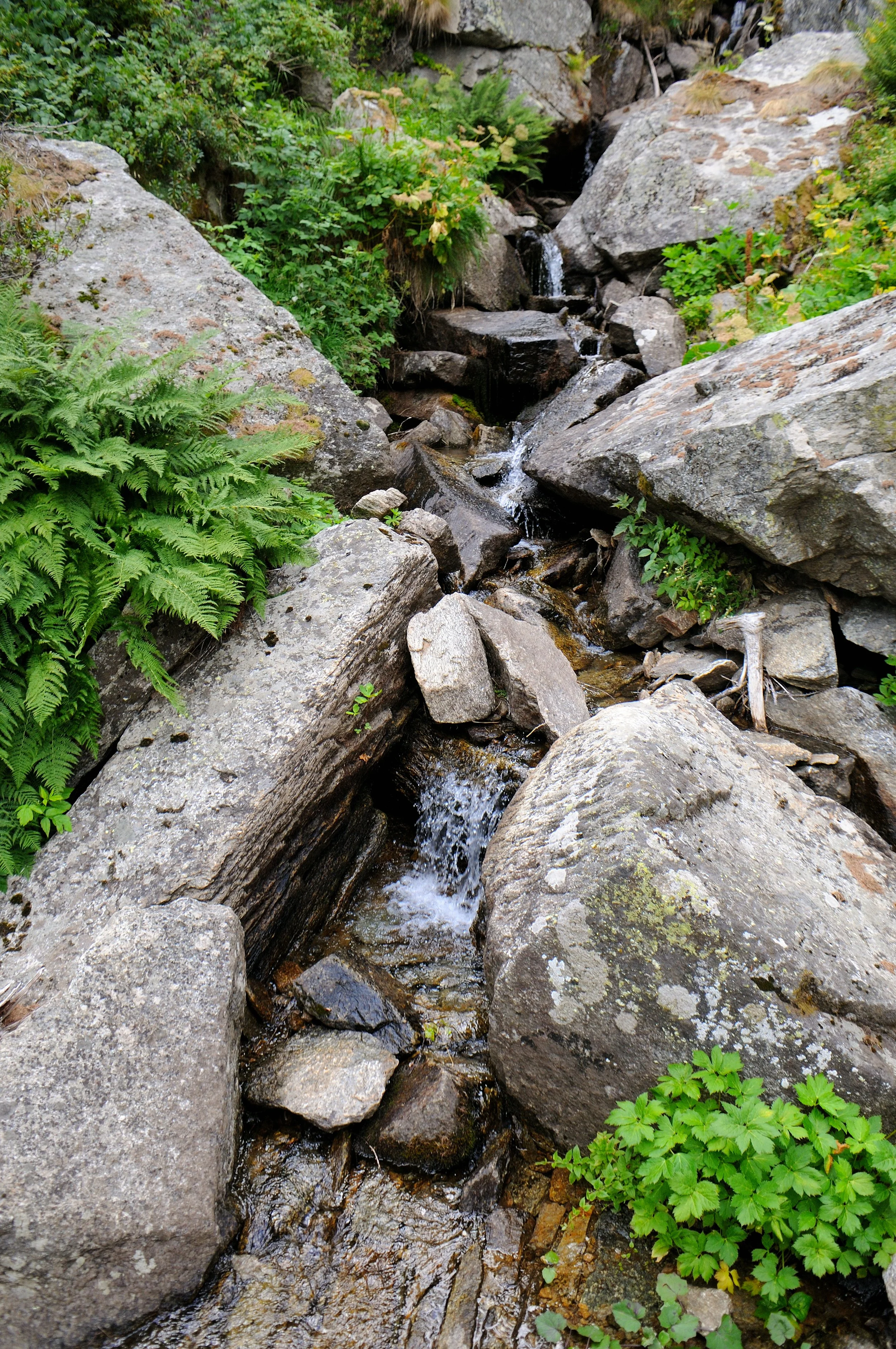DSC_3433.JPG
