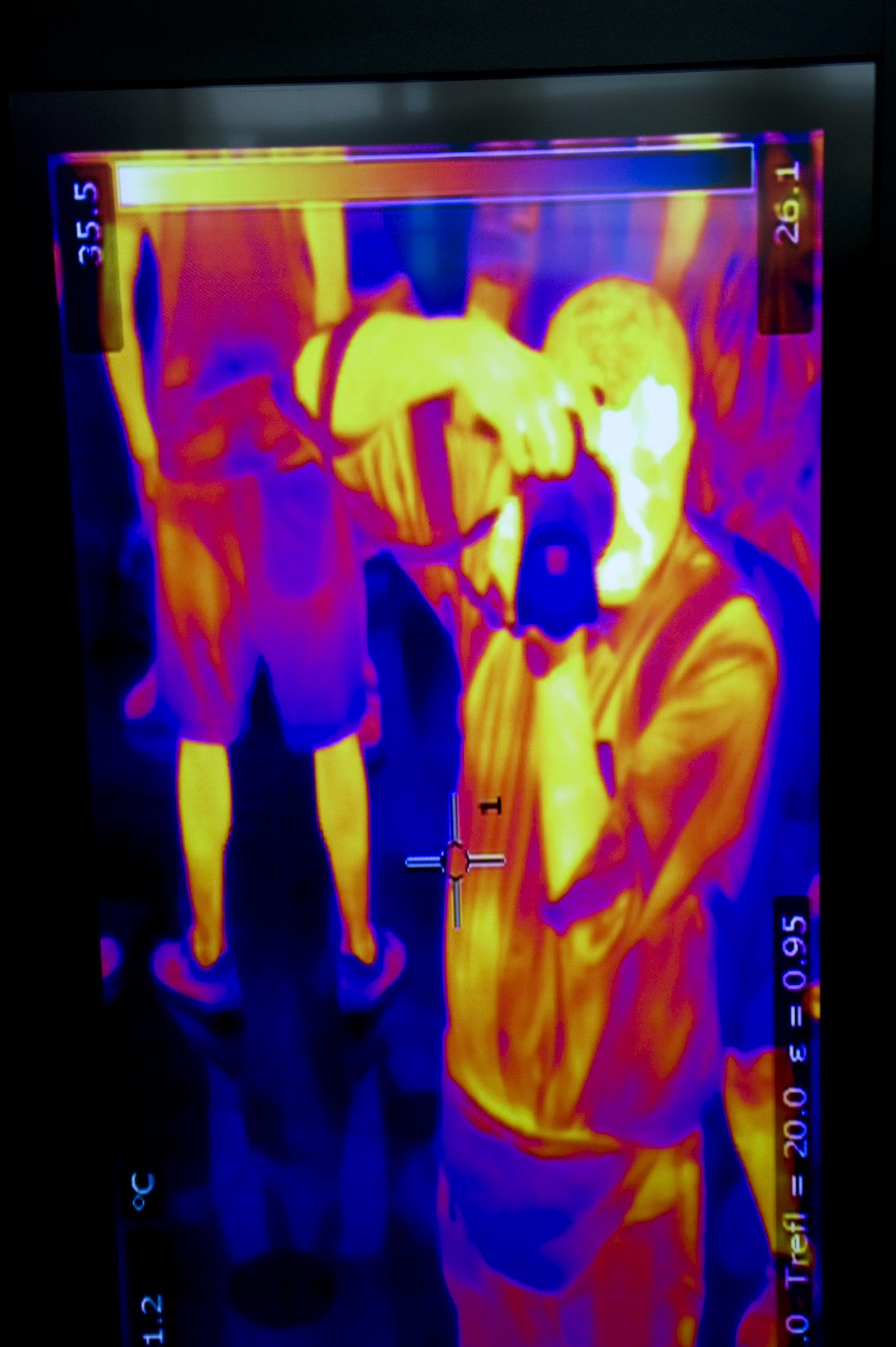 Autoritratto a infrarossi