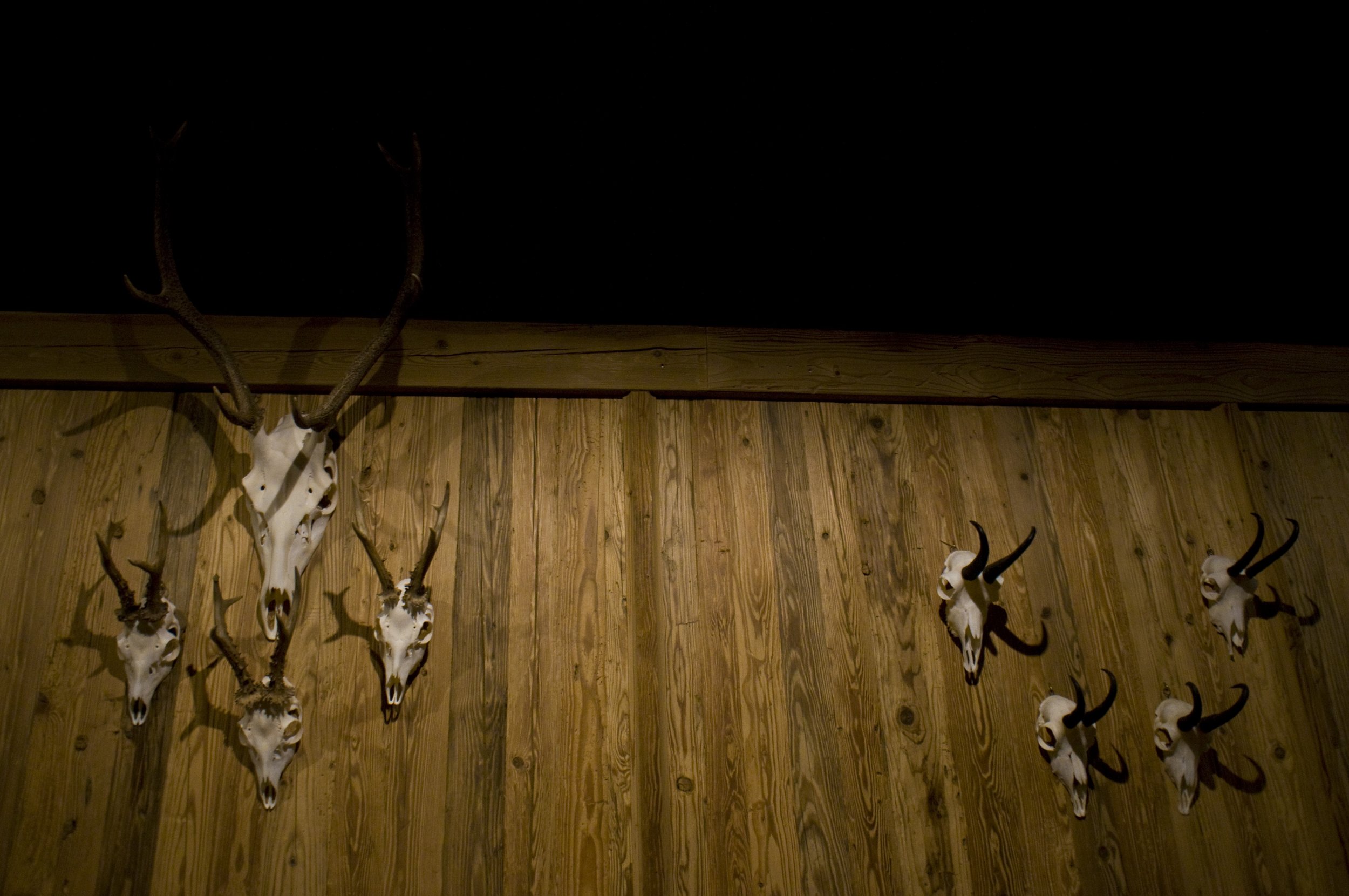 Bolzano - Innsbruck - Vienna