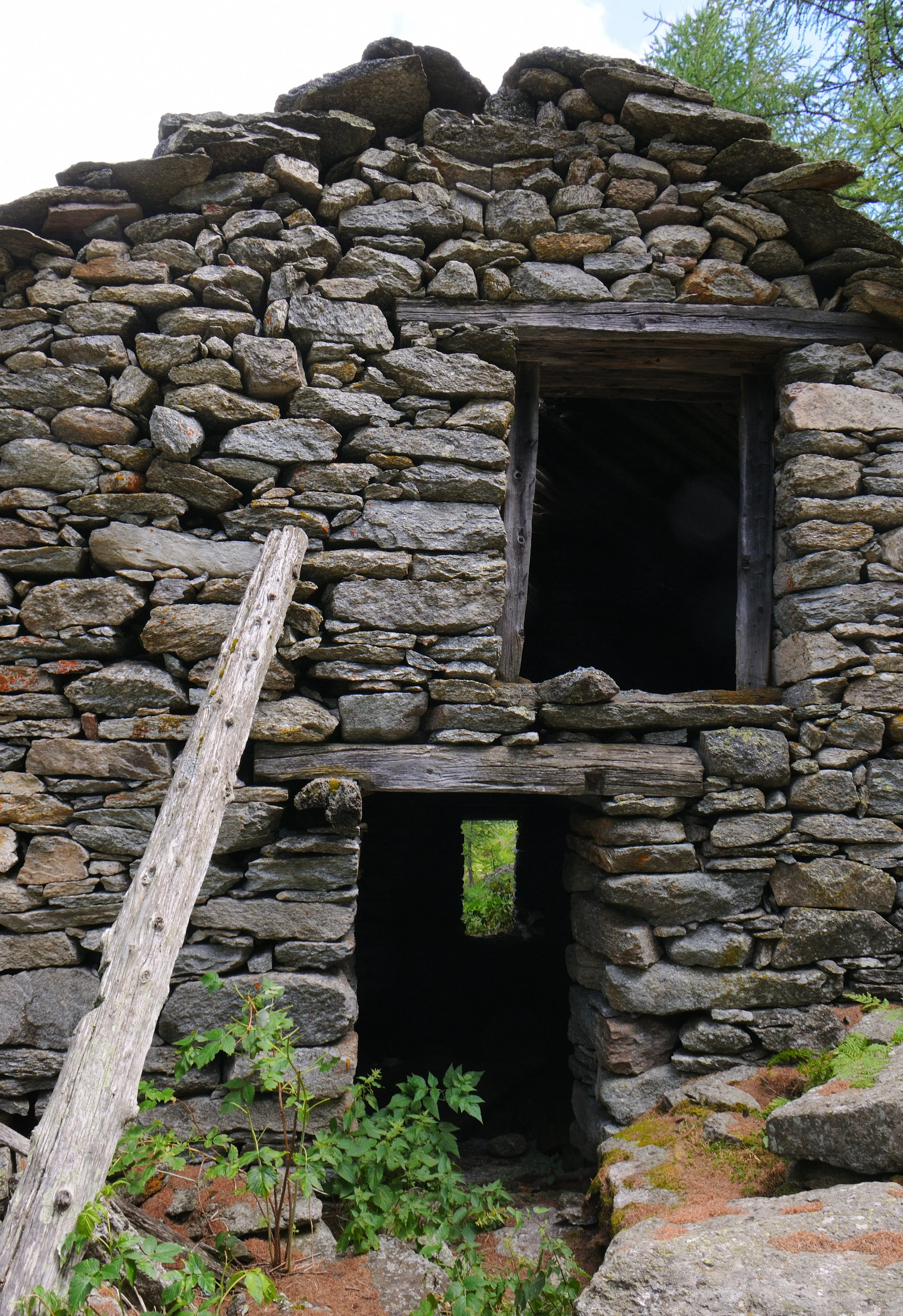 DSC_3409.JPG