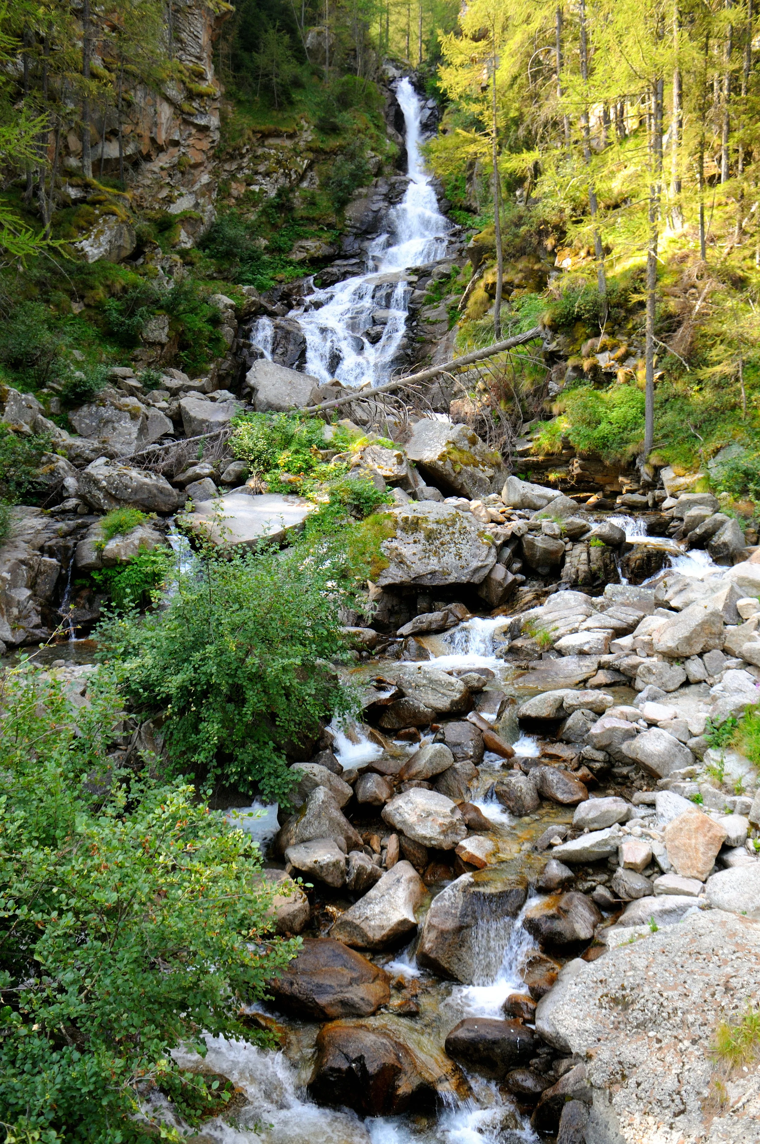 DSC_3342.JPG