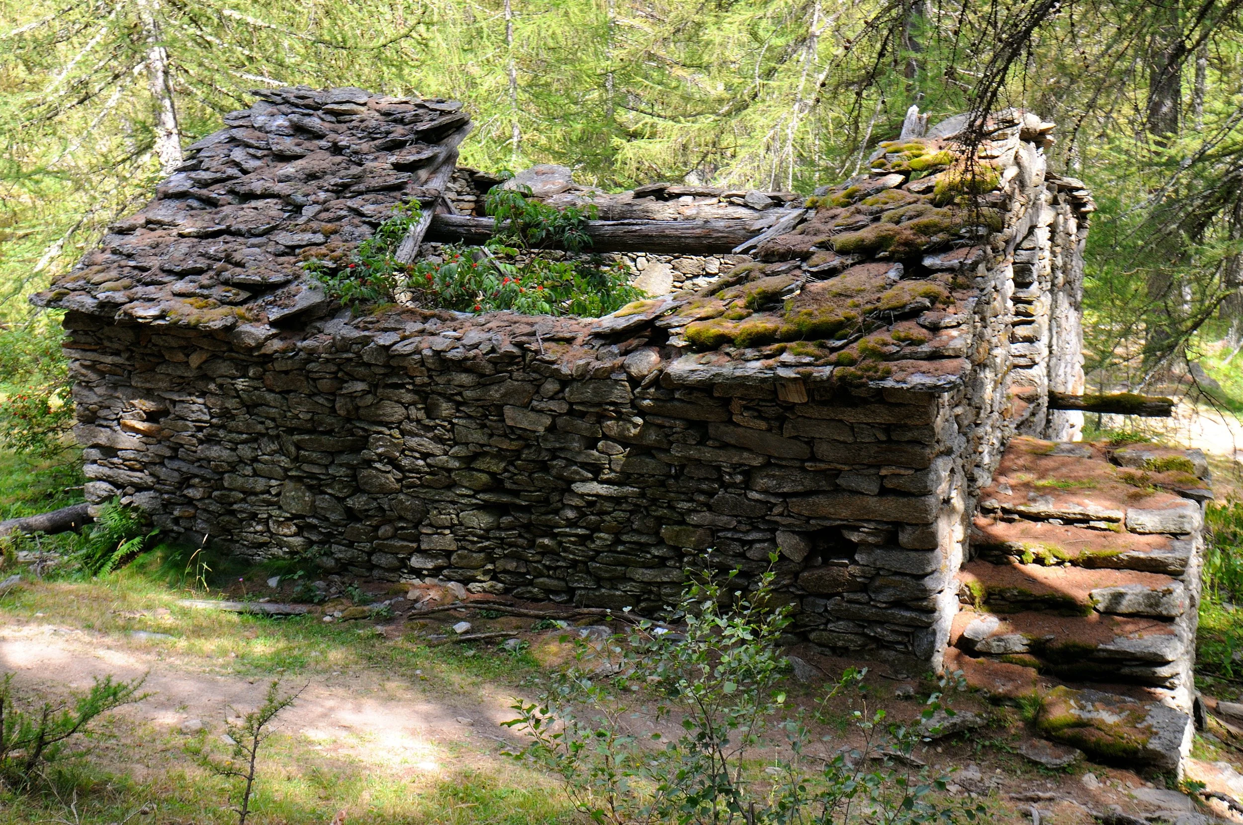 DSC_3441.JPG
