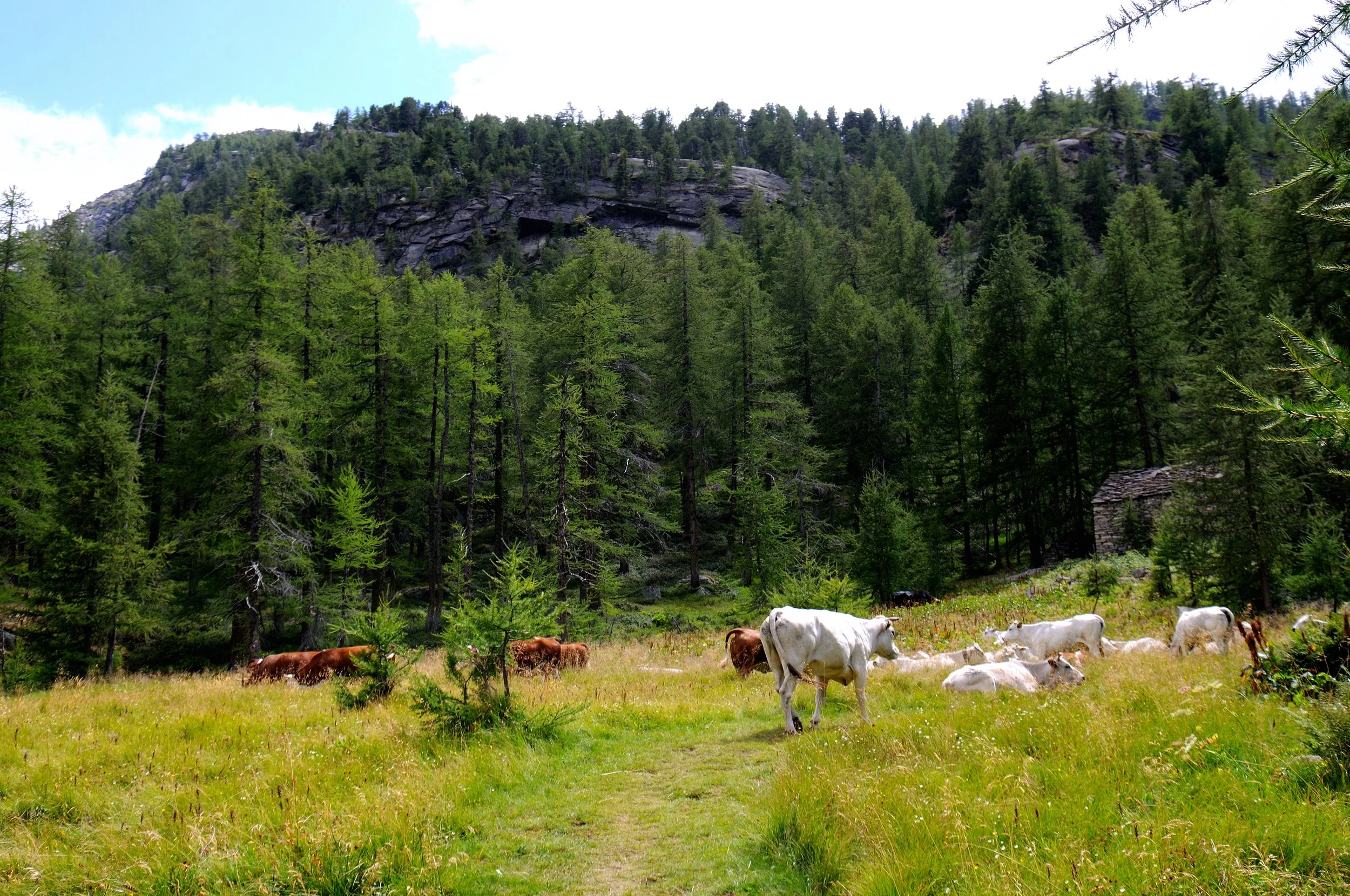 DSC_3415.JPG