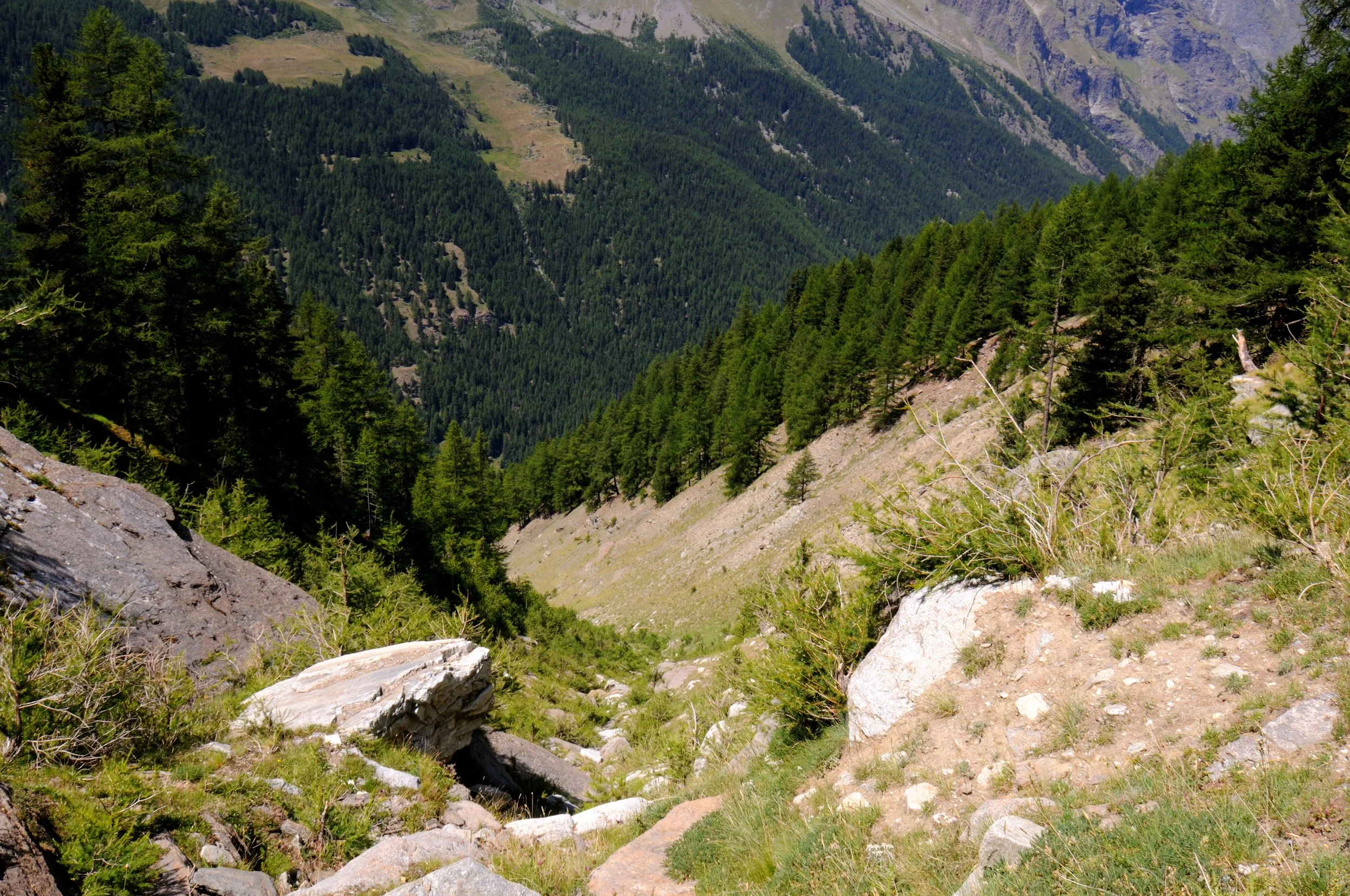 DSC_3248.JPG