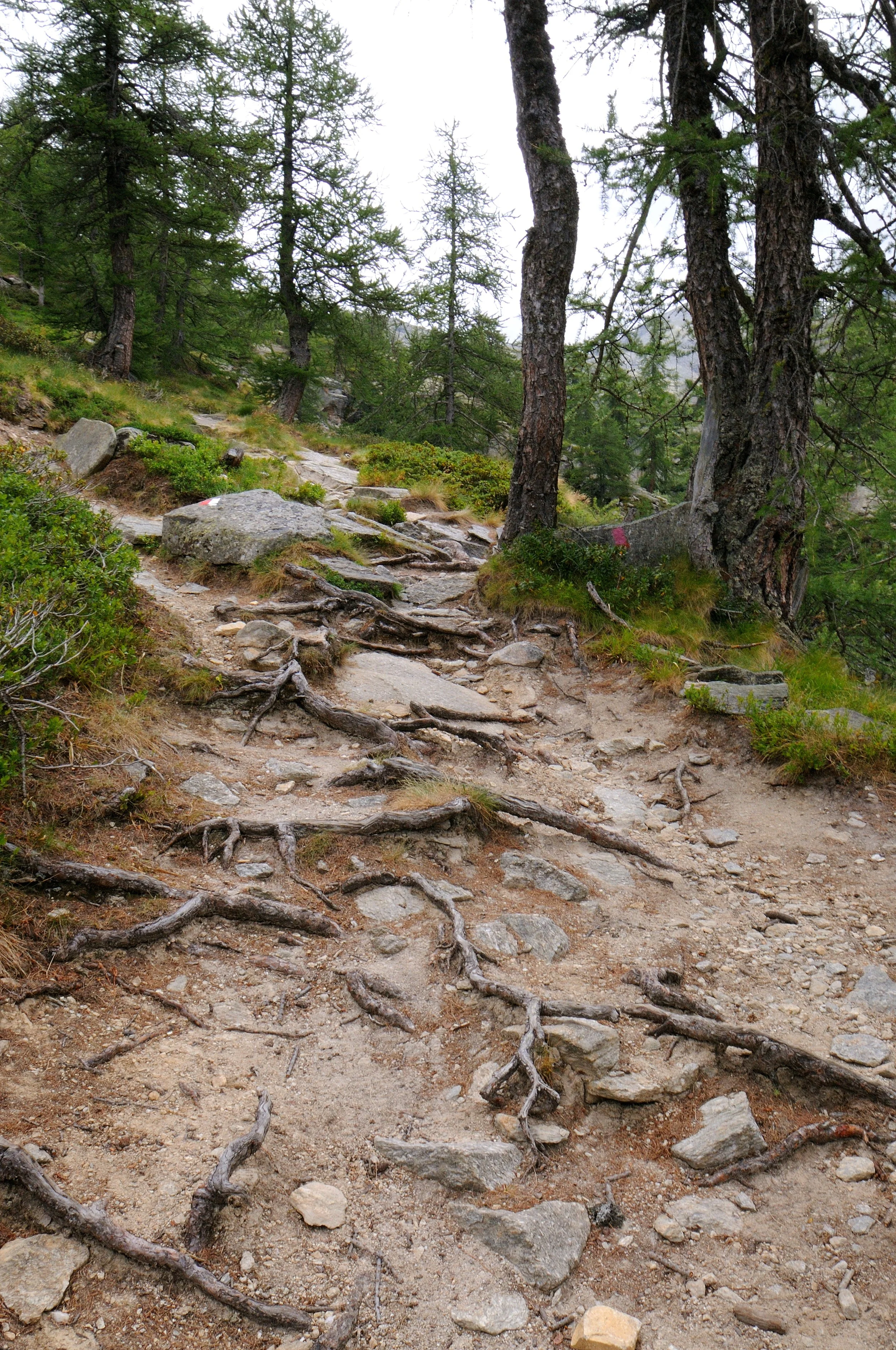 Valle Orco - Ceresole Reale: sentiero per il Rifugio Jervis