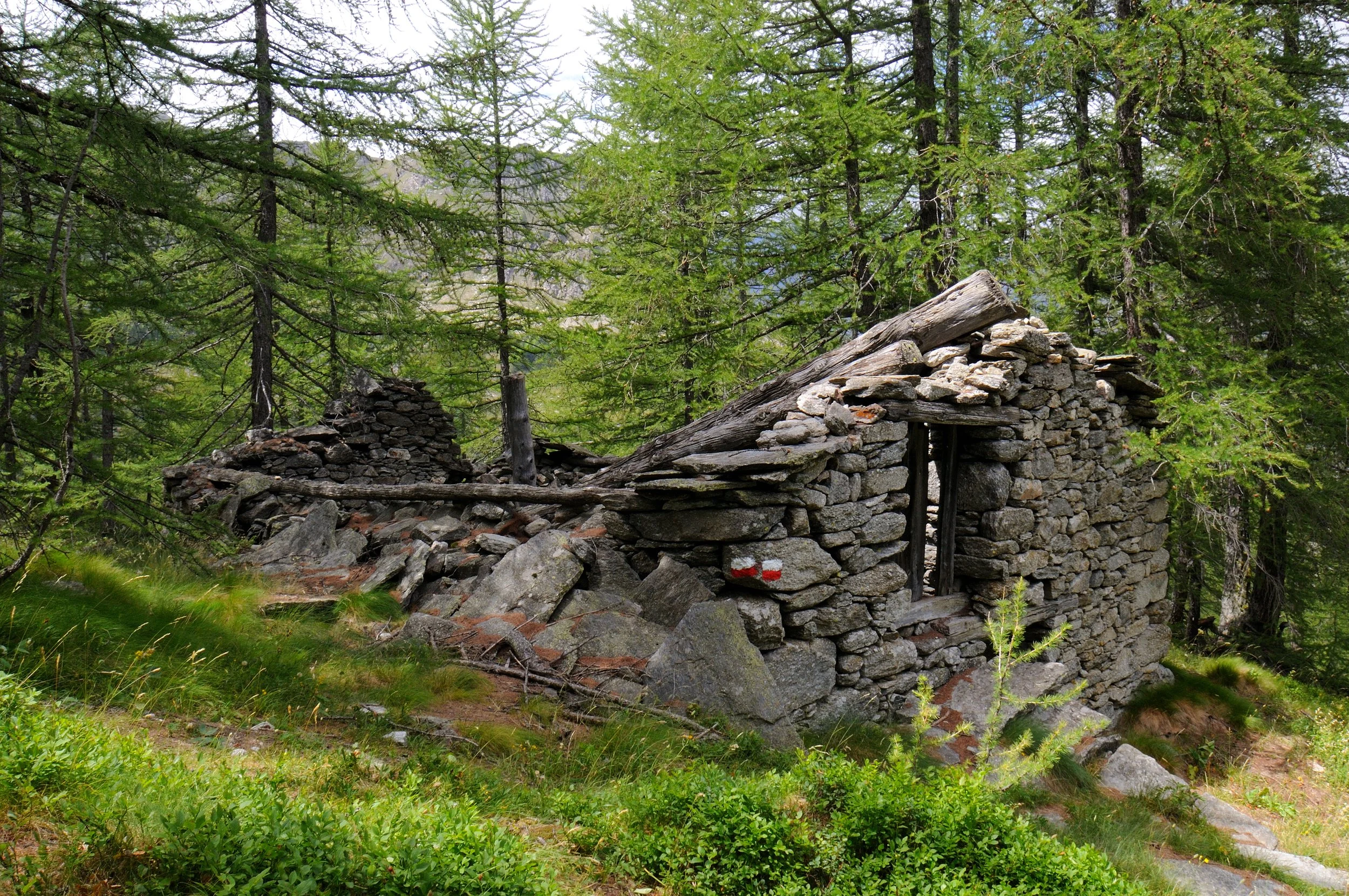 DSC_3396.JPG
