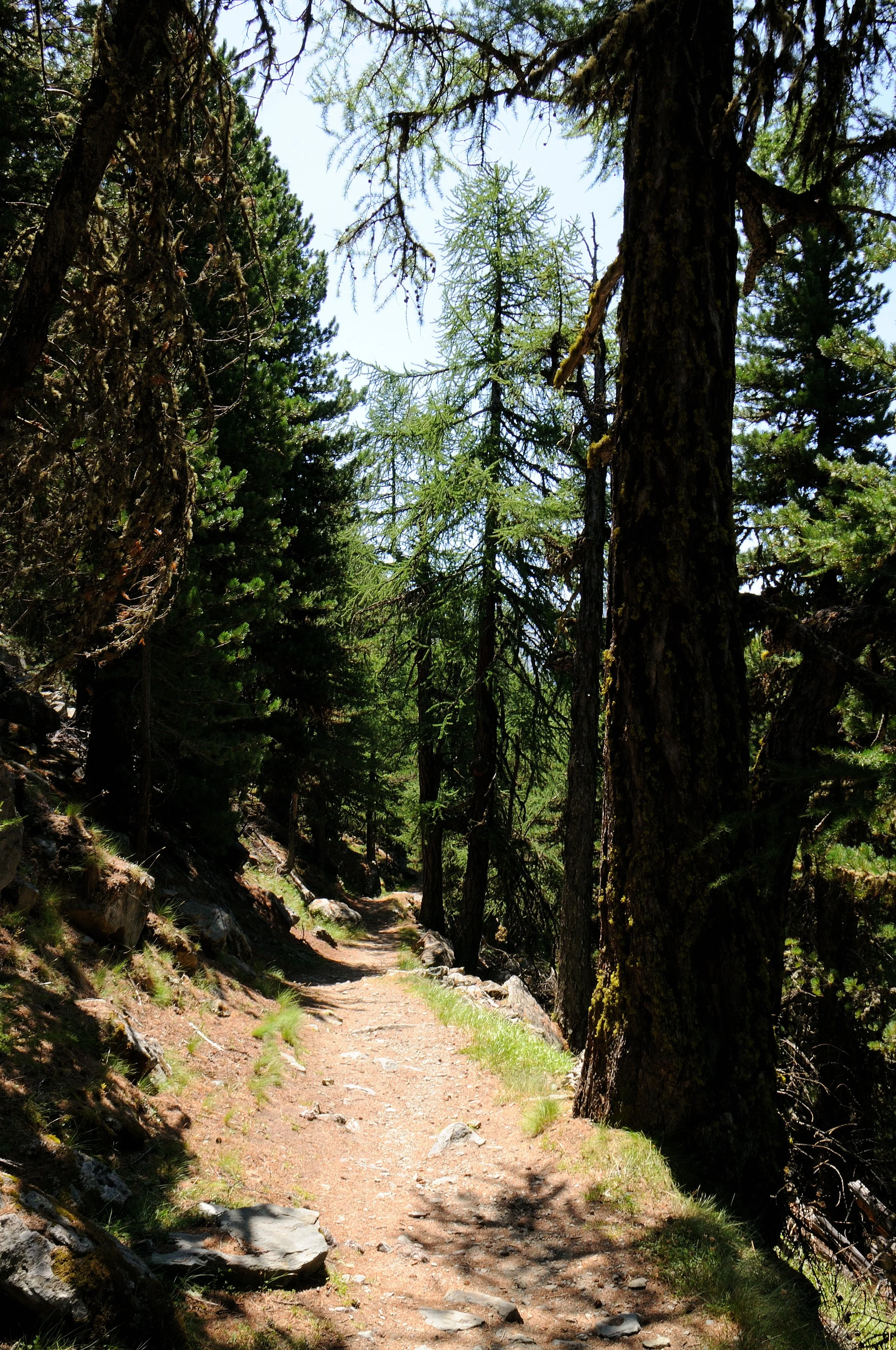 DSC_3246.JPG