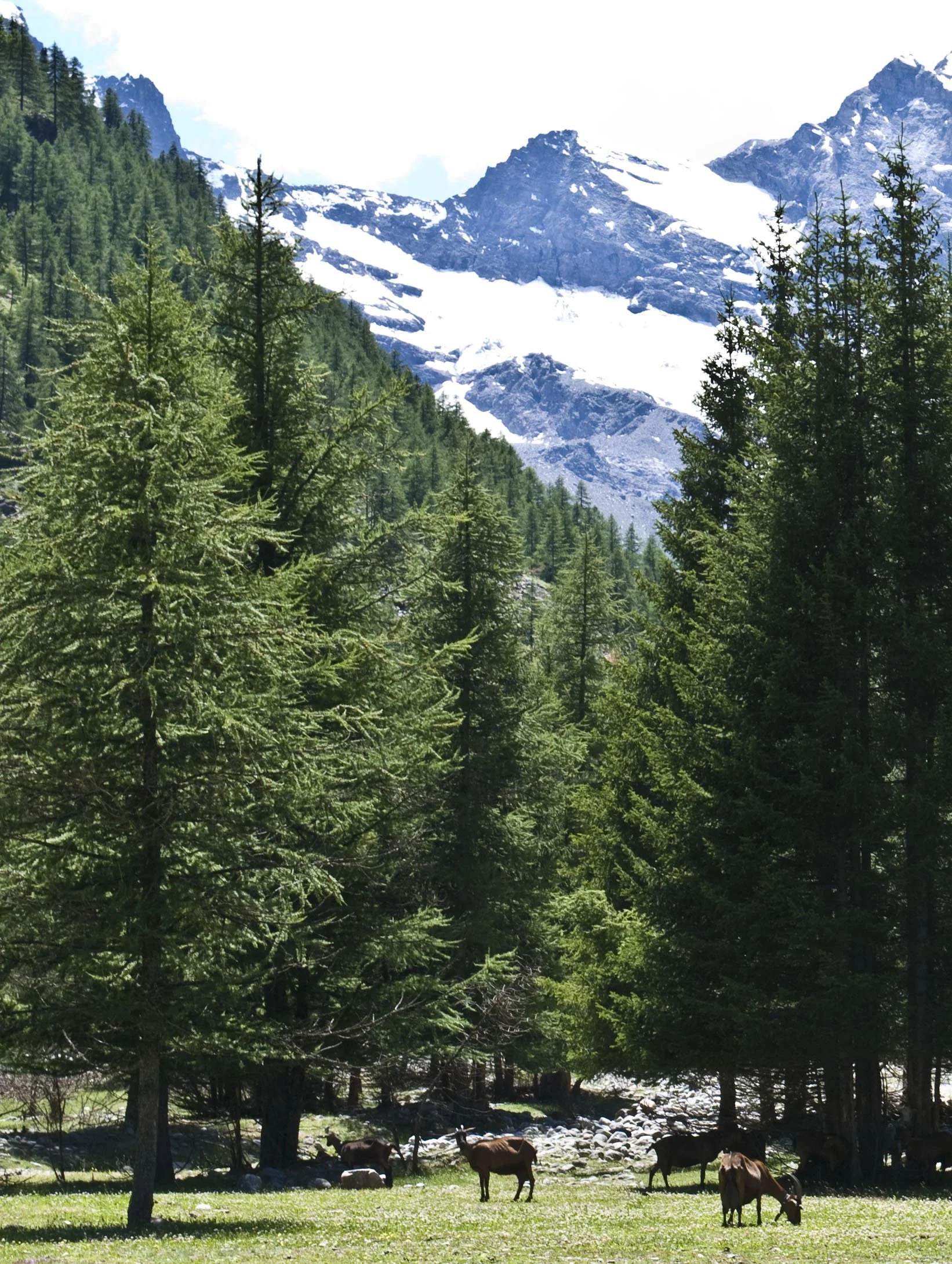 DSC_4538.jpg