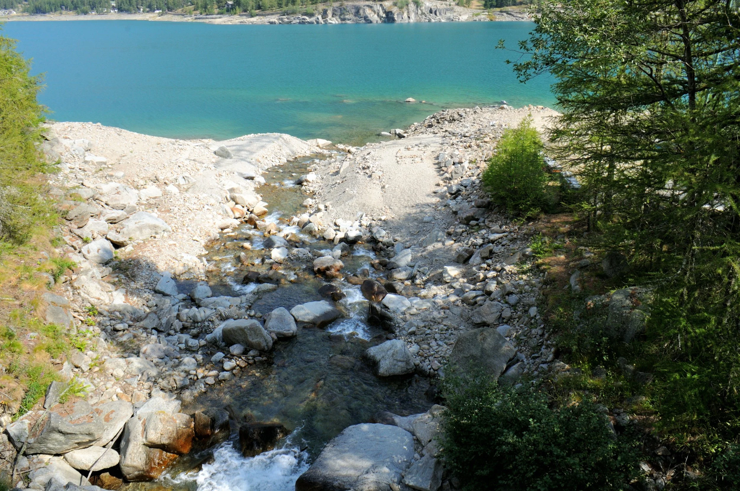 DSC_3339.JPG